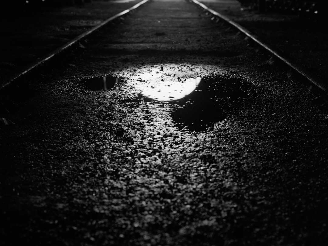 © Leonardo Pavini