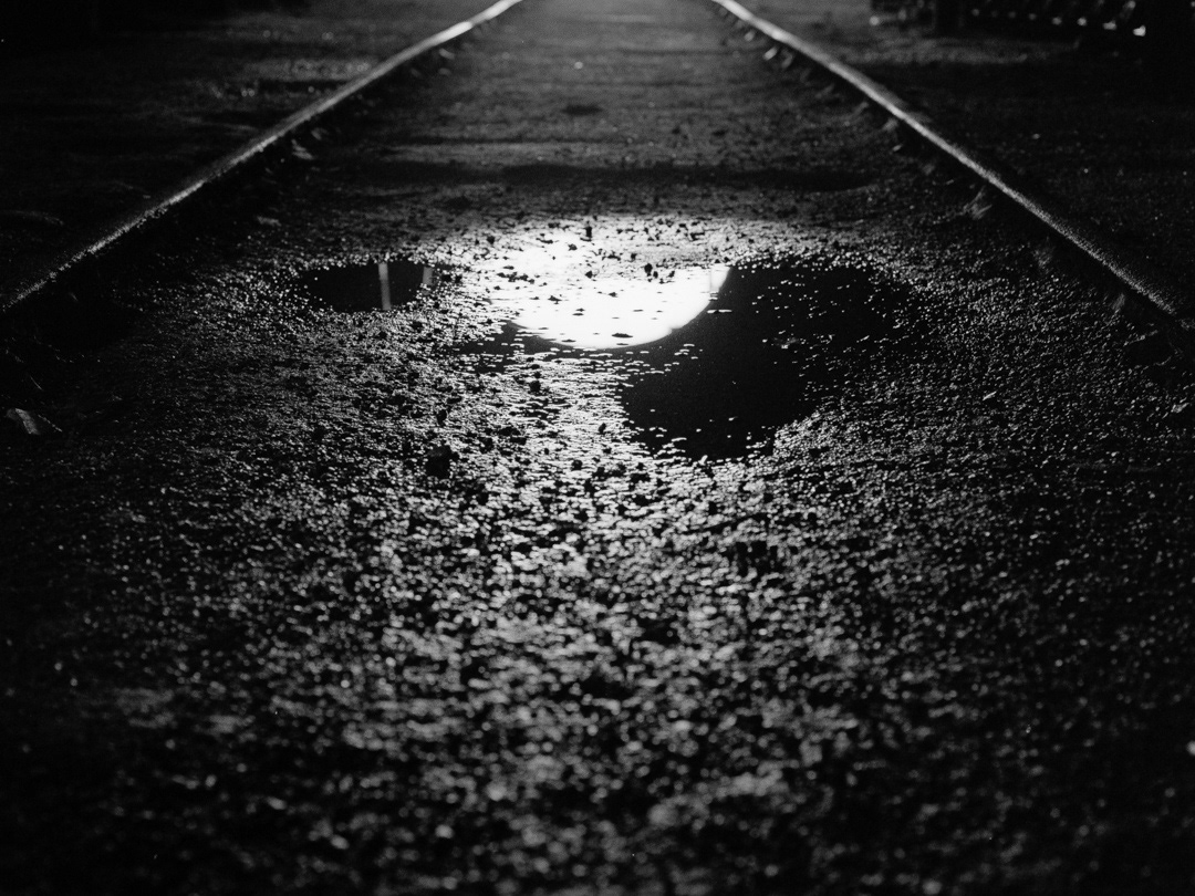© Leonardo Pavini