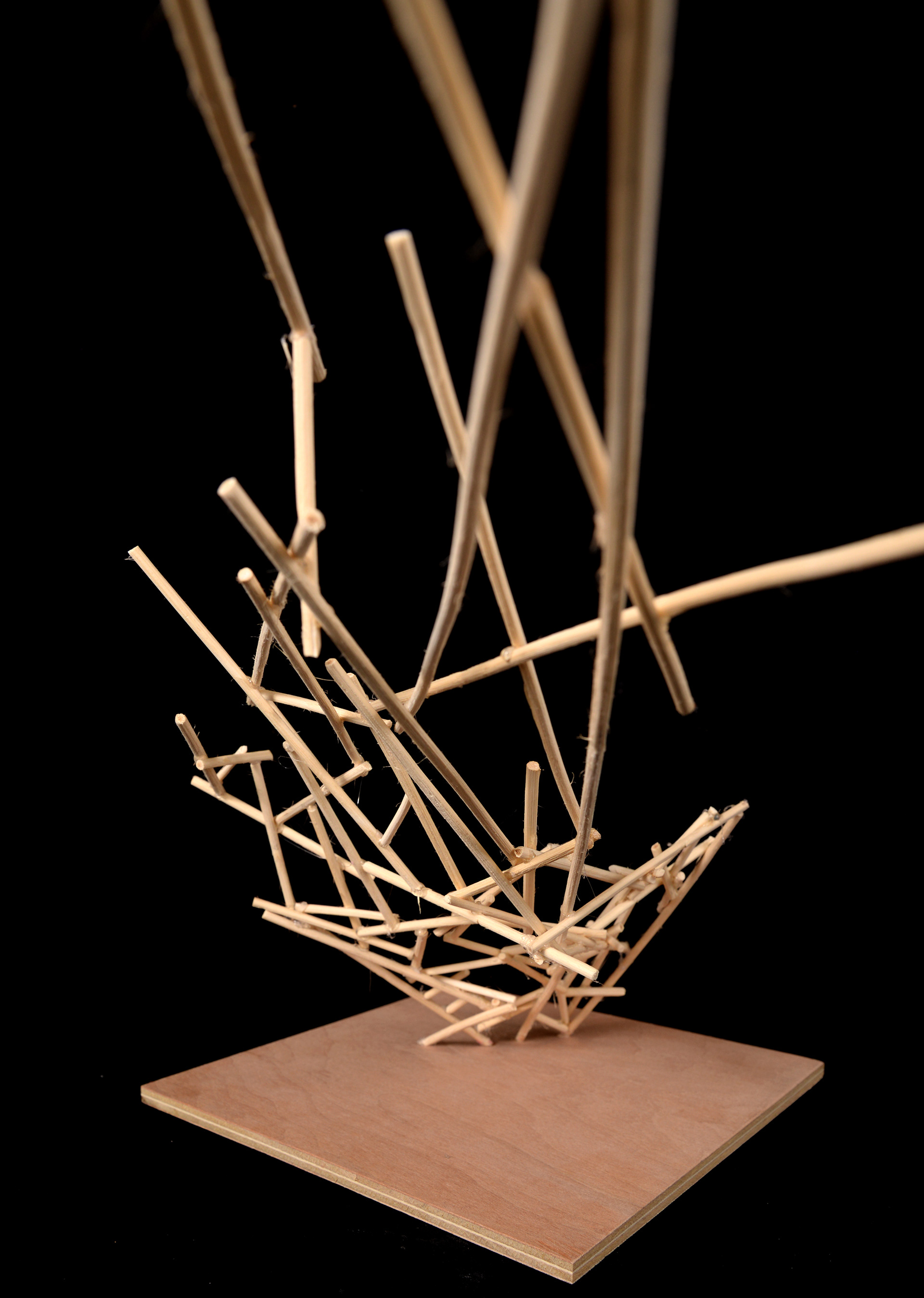 Ex05.1 - Rattan