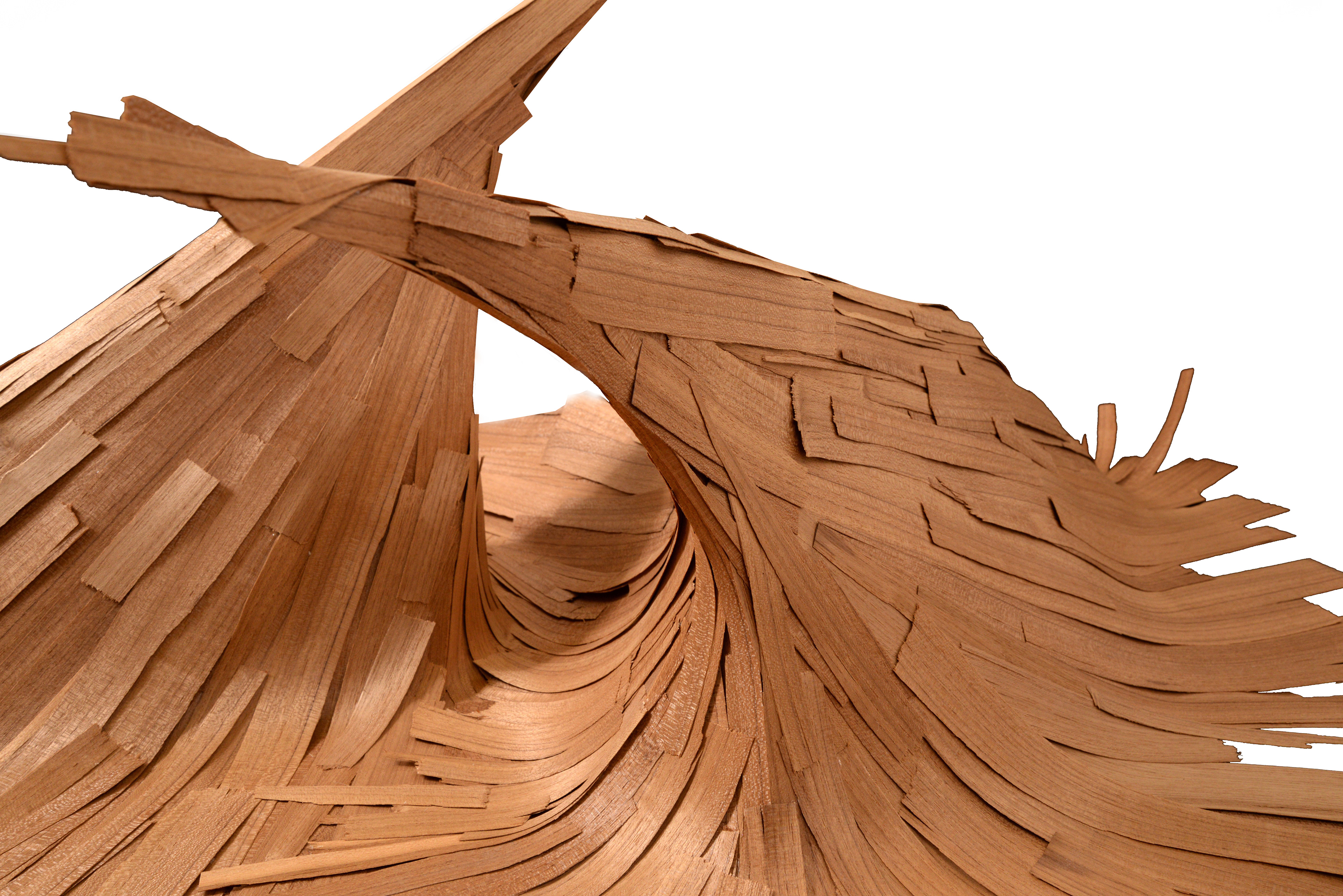 Ex11.1 - Wood