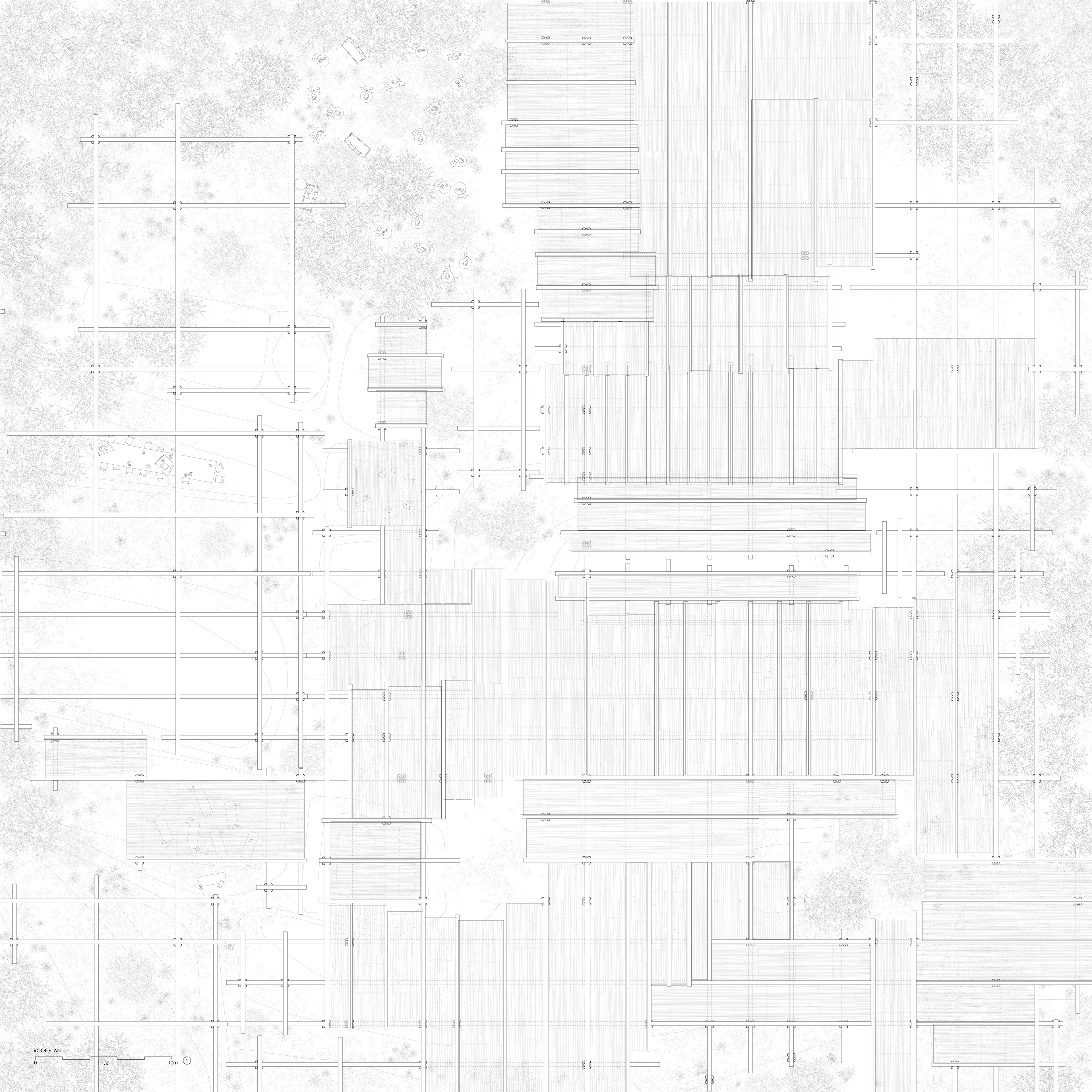 Roof Plan