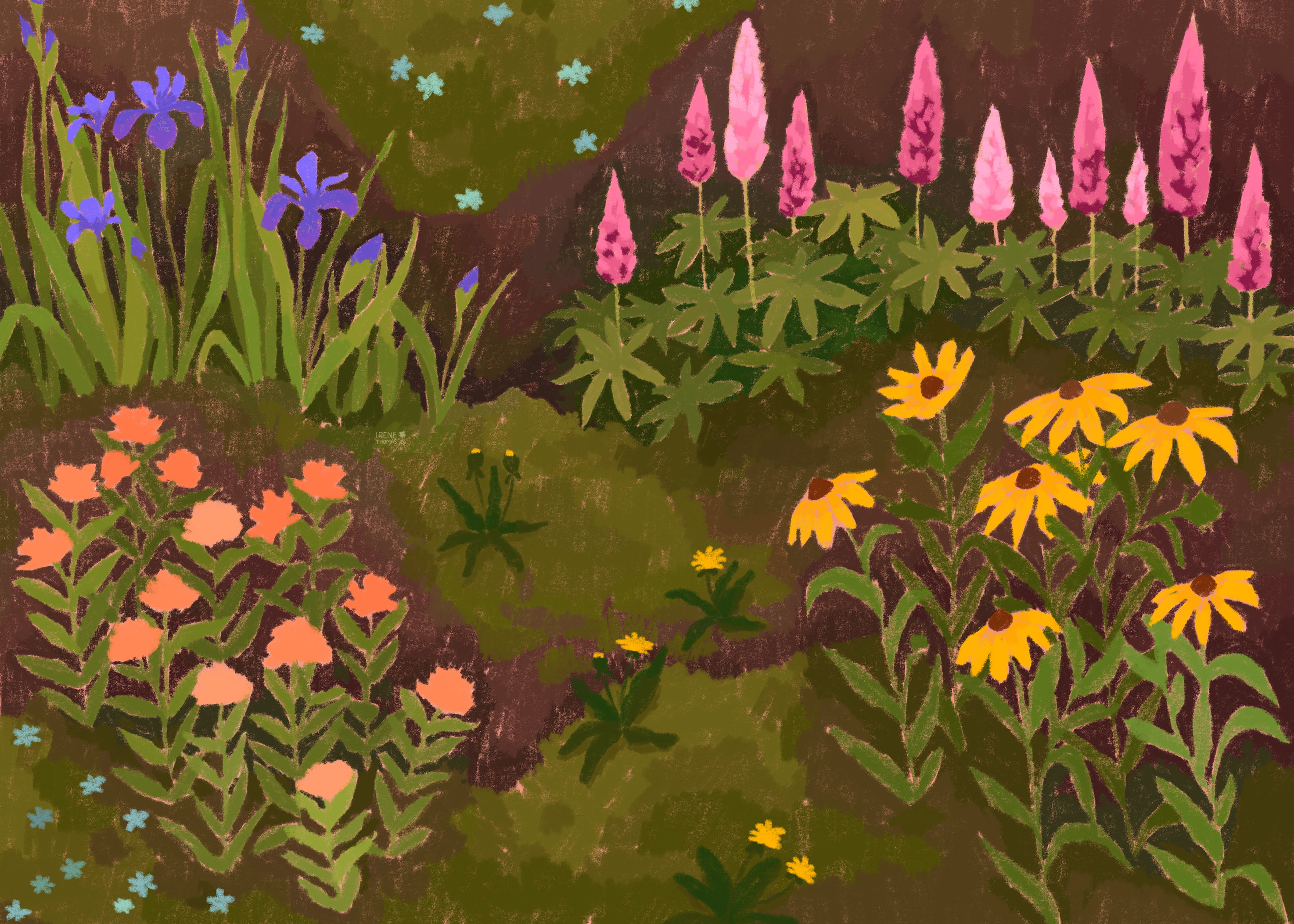 Native plant gardens