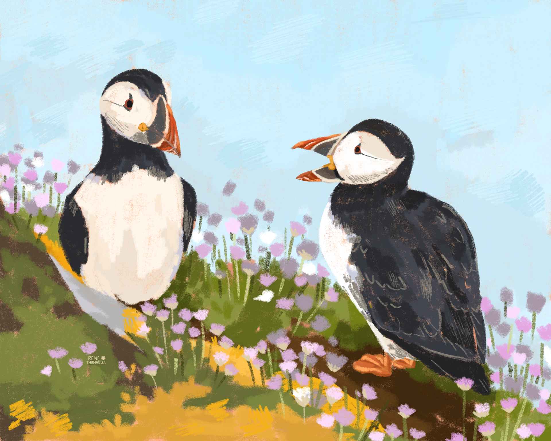 A puffin argument