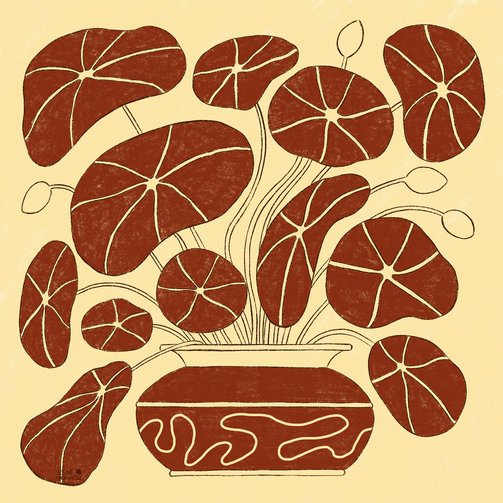 Lotus pot
