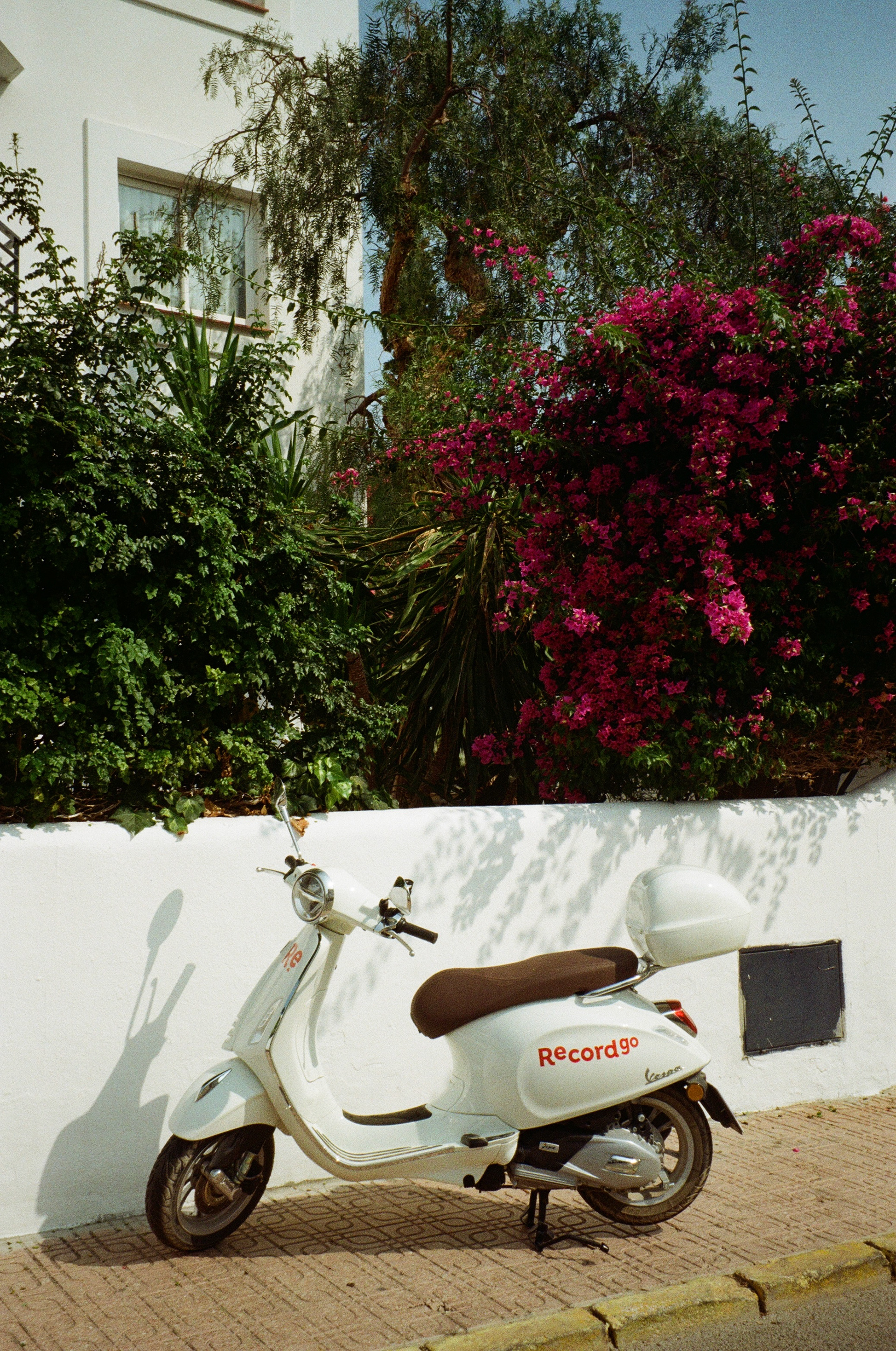 Ibiza