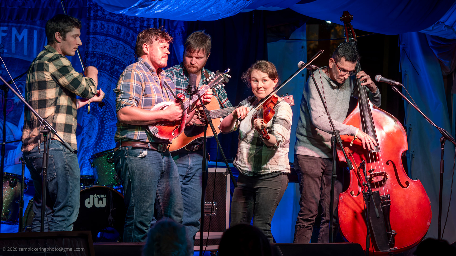 Silvertop Strings