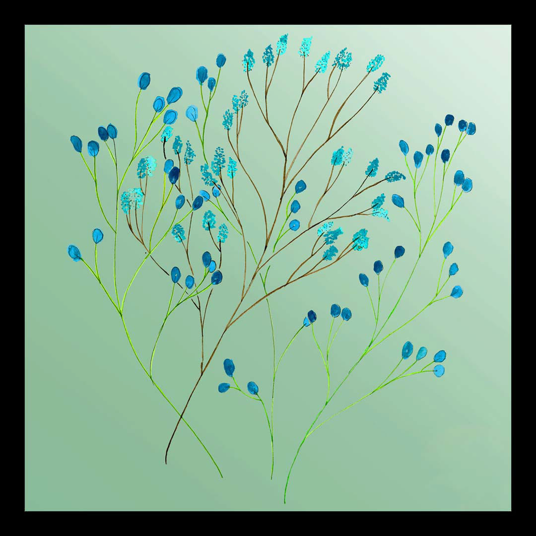 blue branches