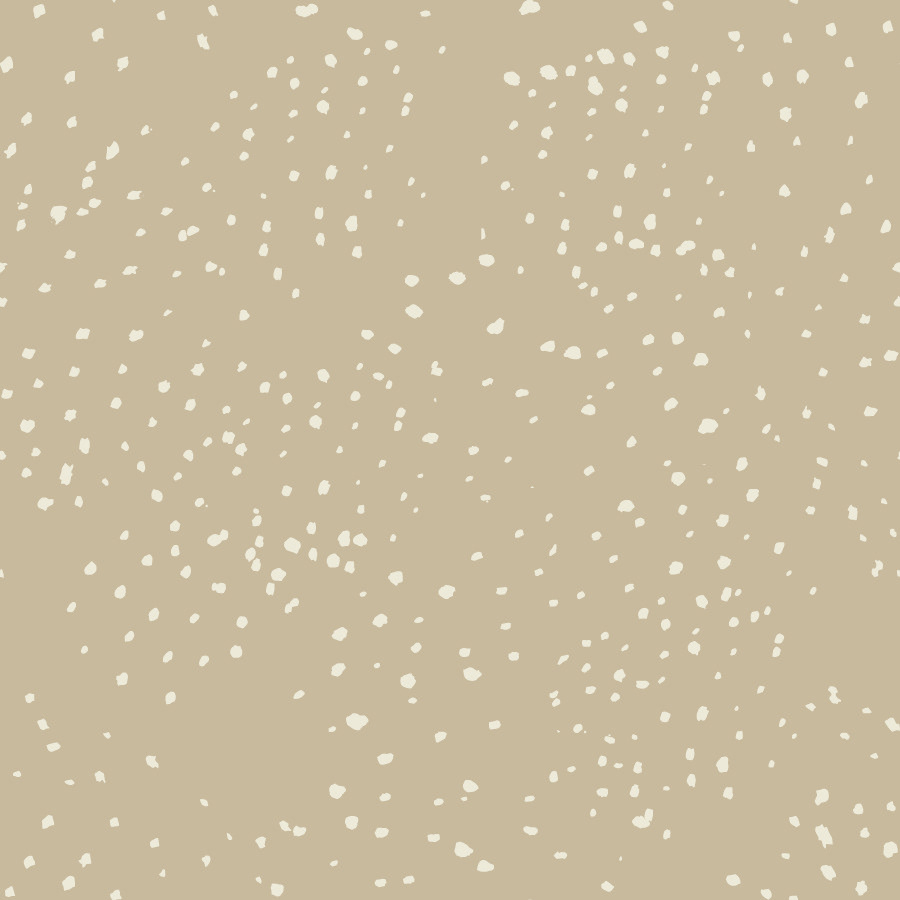 Sandy Shore