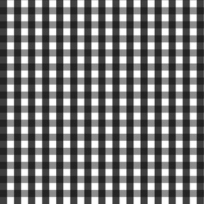Black and White Gingham