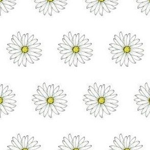 Dozens of Daisies
