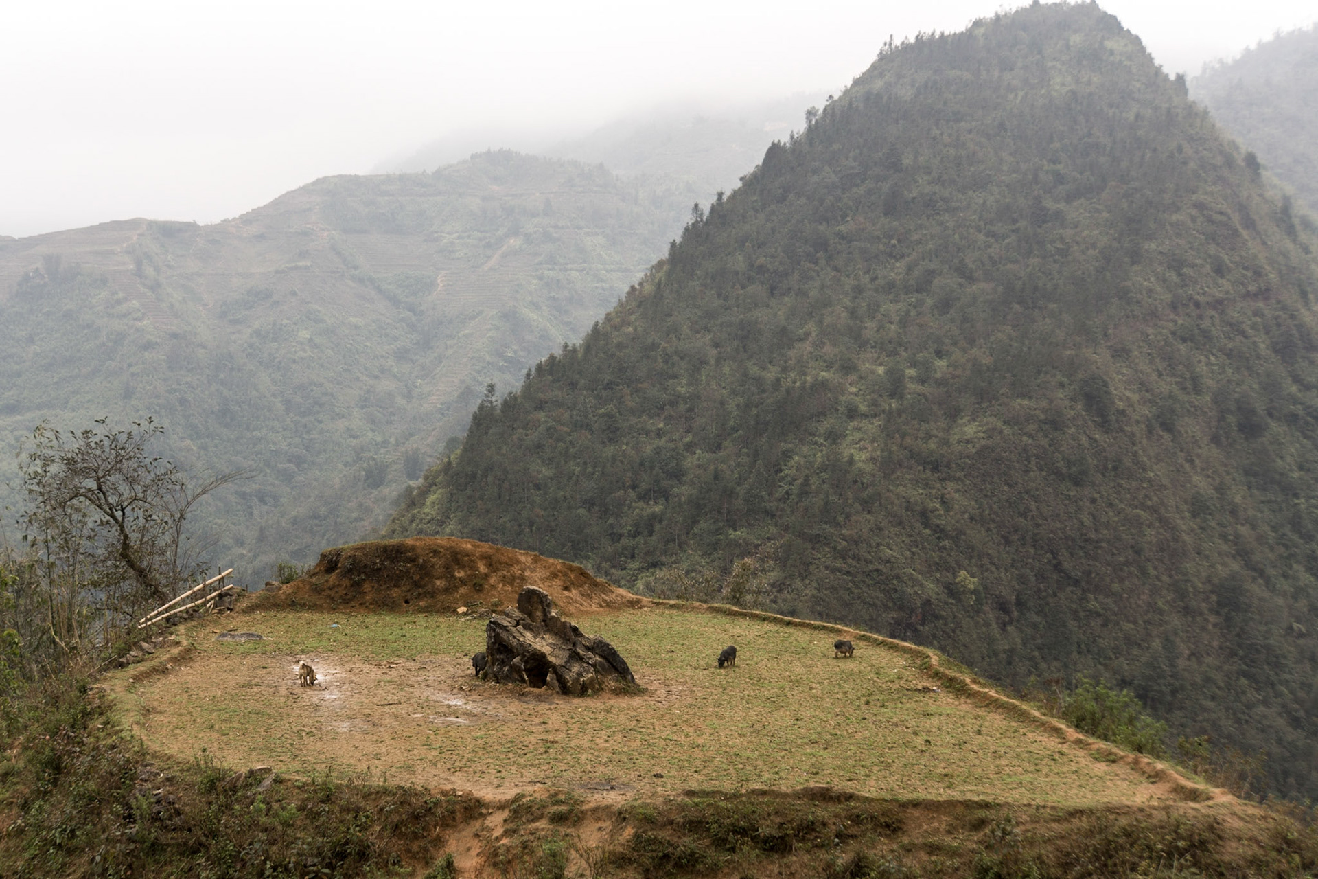 Sapa Vietnam