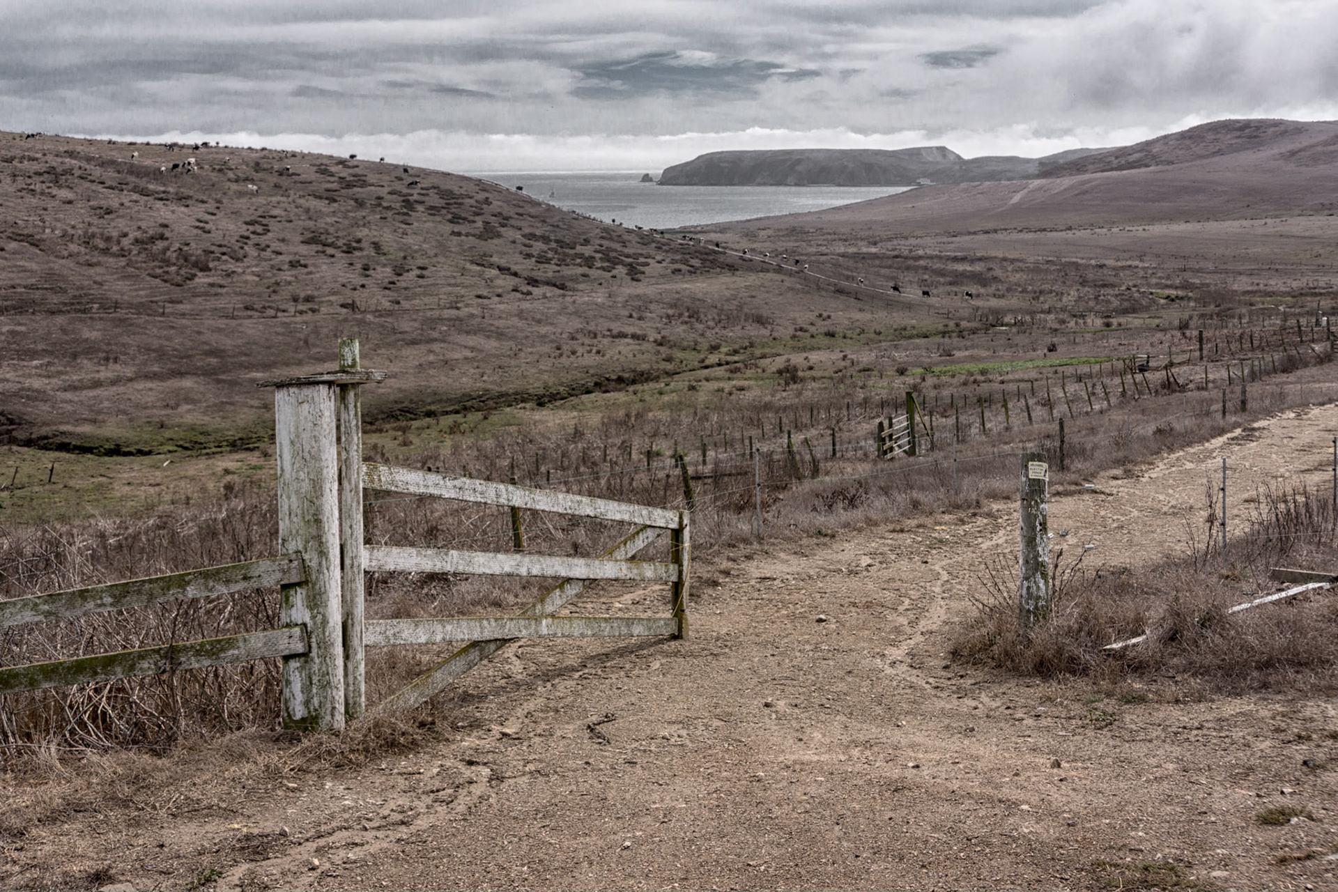 Point Reyes