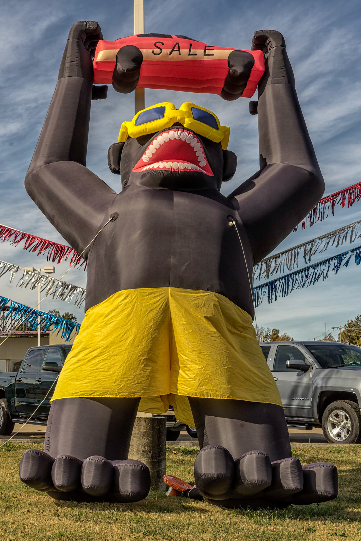 Metropolis IL