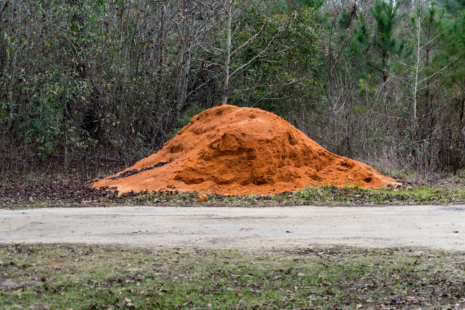White Springs