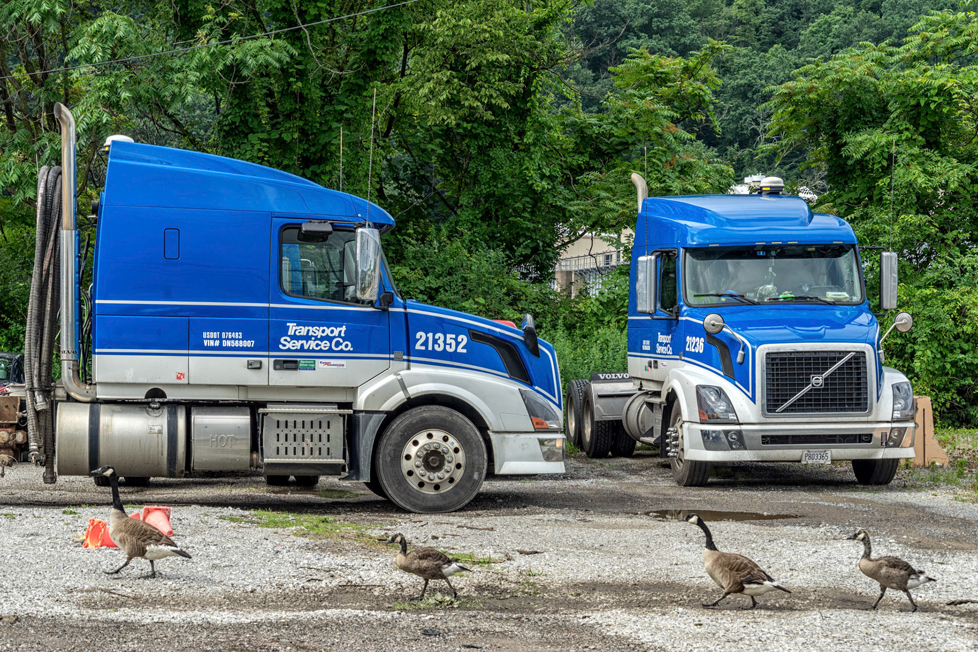 Neville Township PA