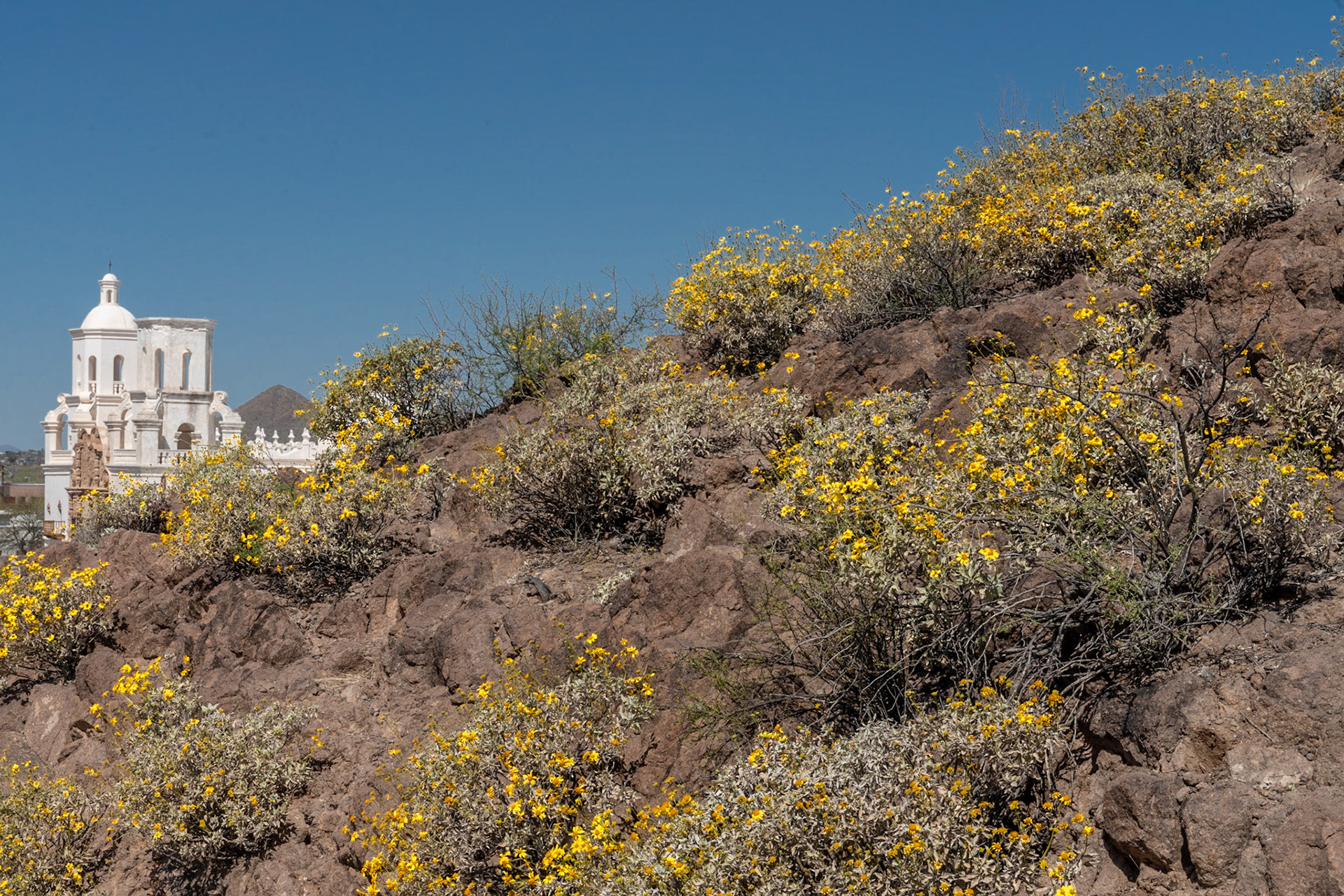 San Xavier del Bac Mission