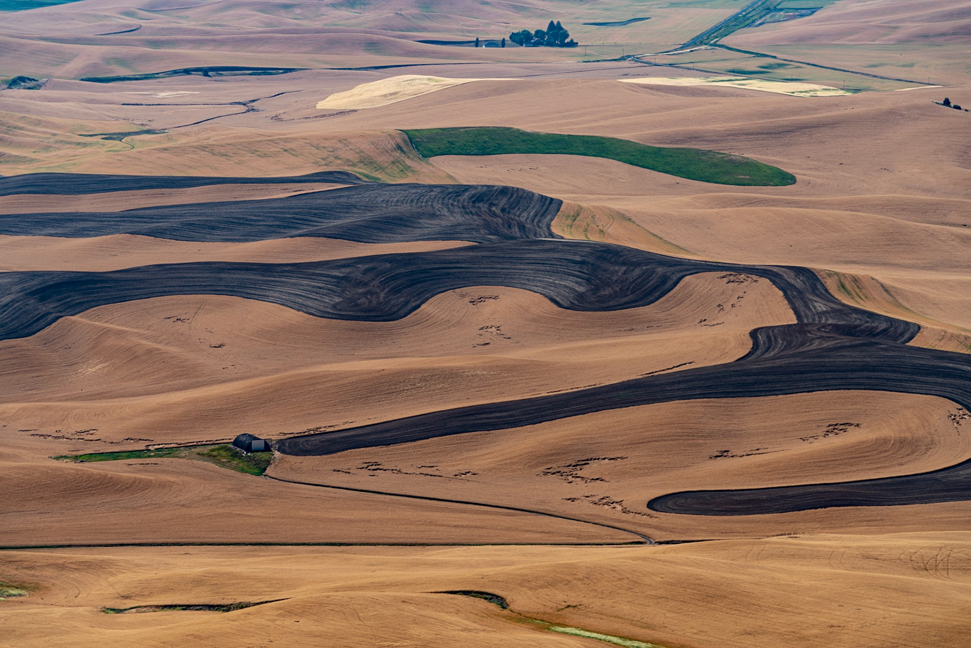 Steptoe Butte WA
