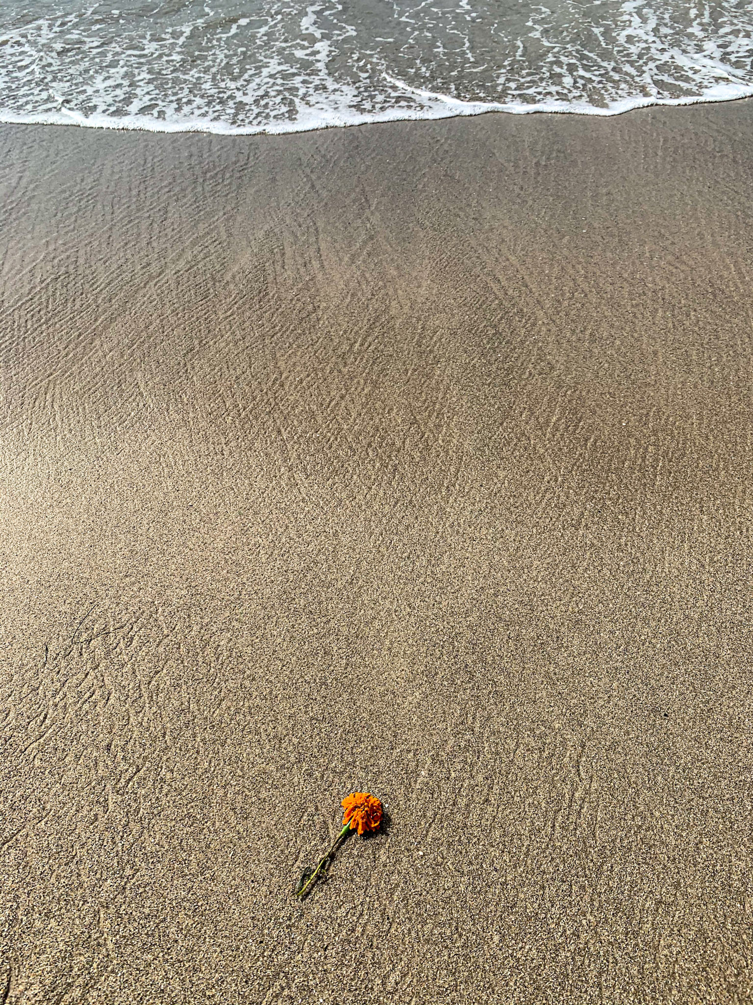 Pacific Palisades