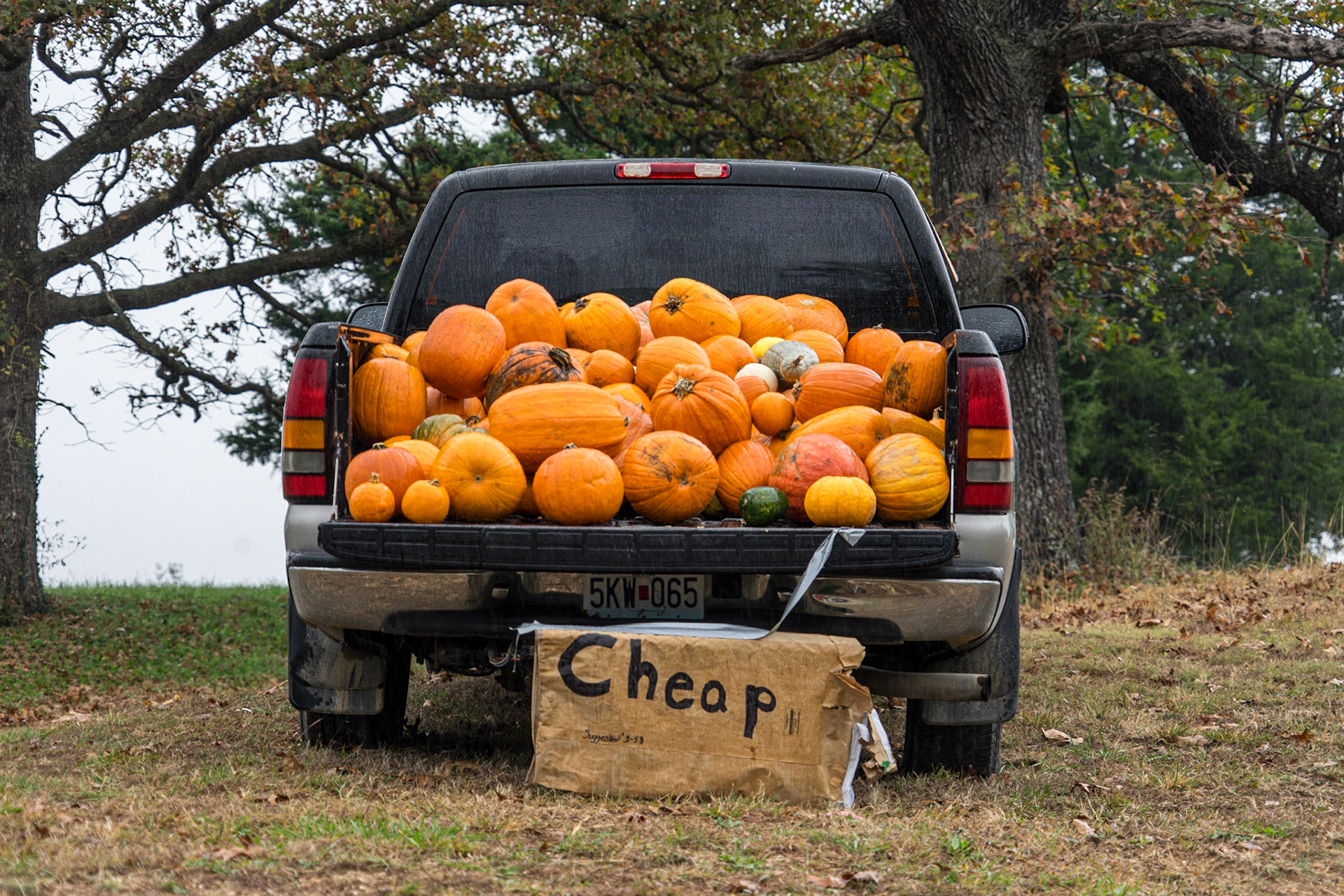 Owensville MO