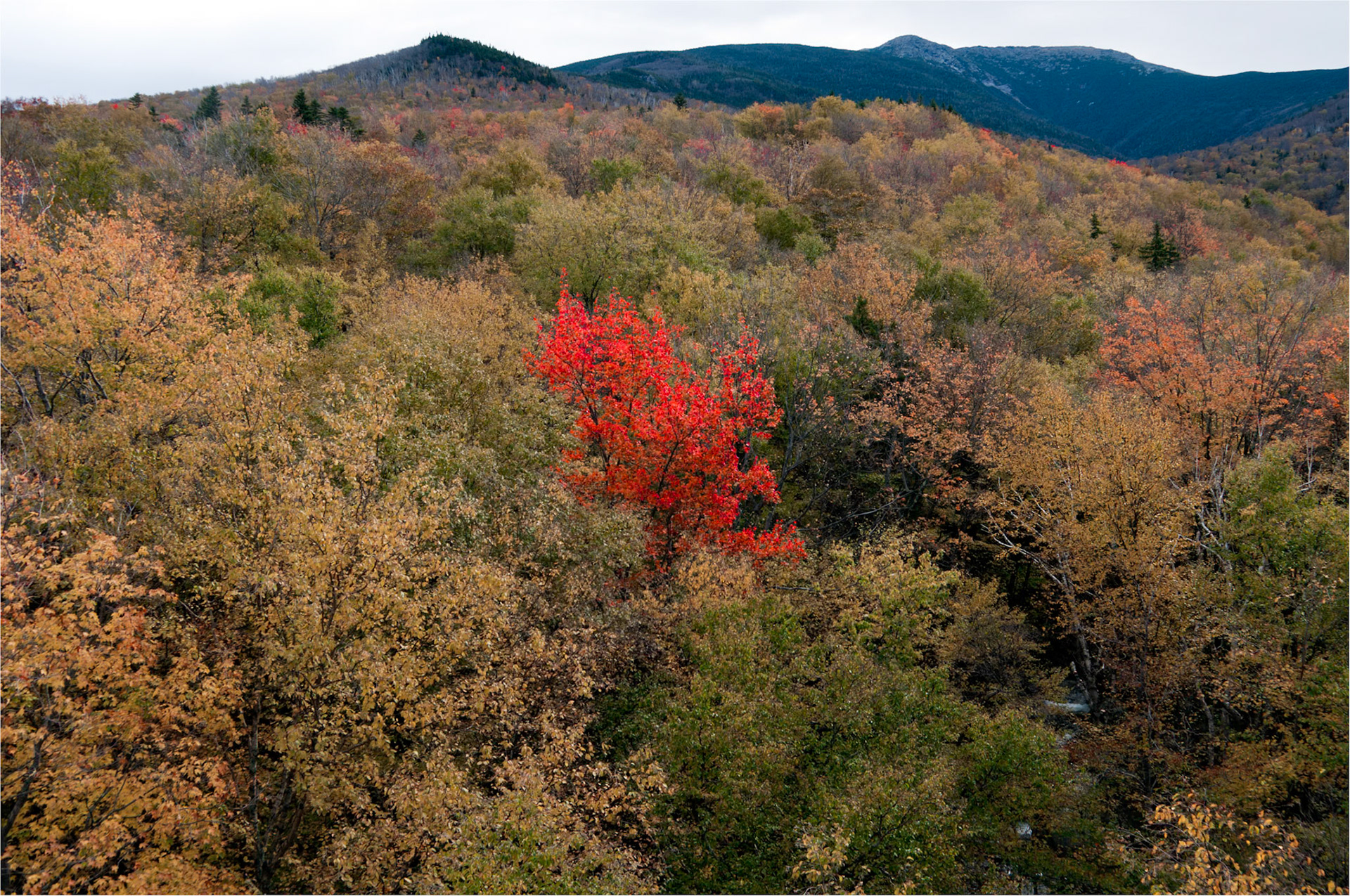 New Hampshire