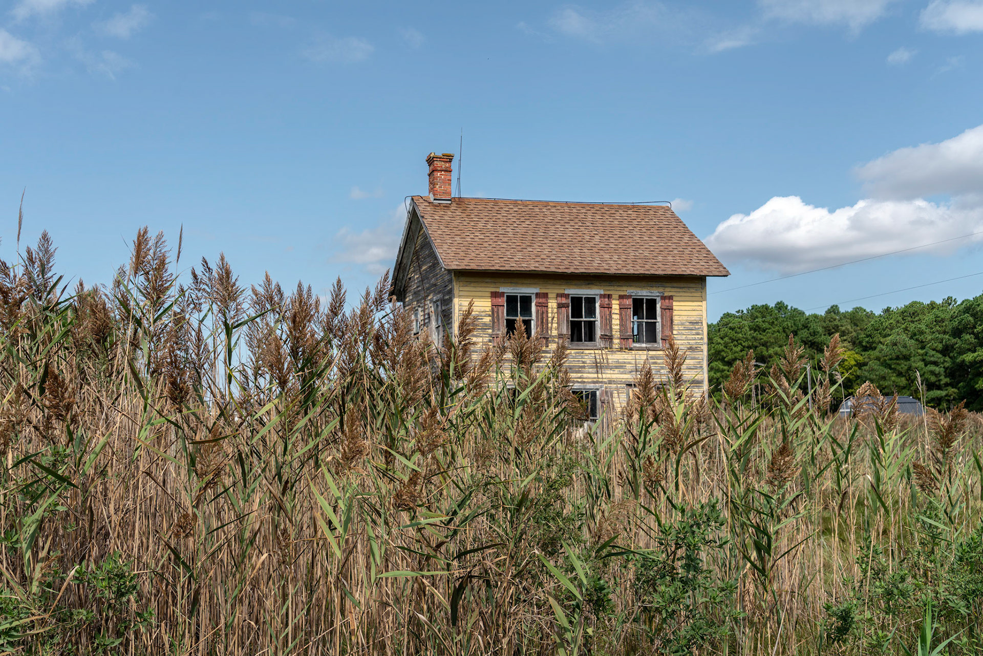 Crocheron, MD