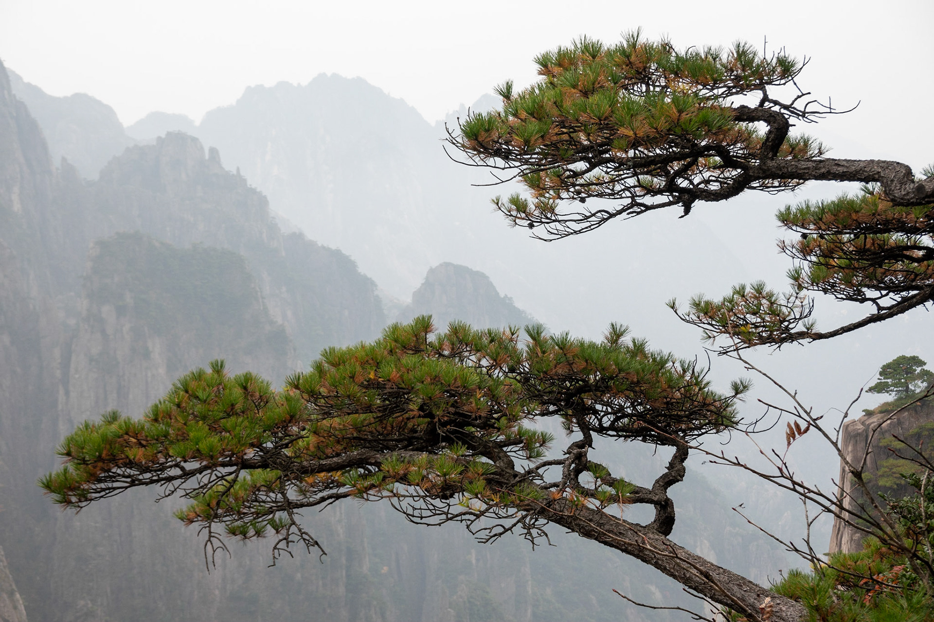 Yellow Mountains