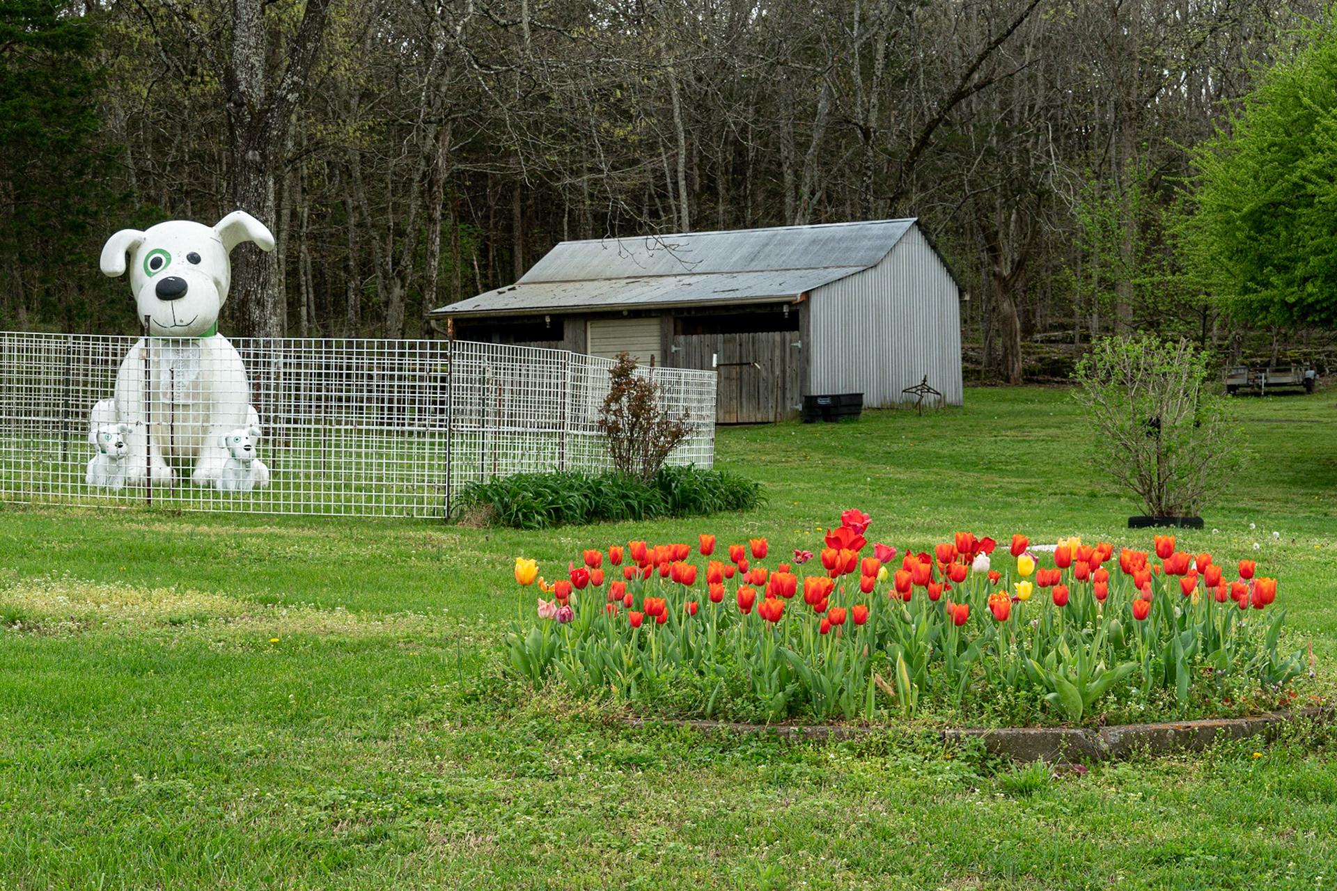 Lebanon TN