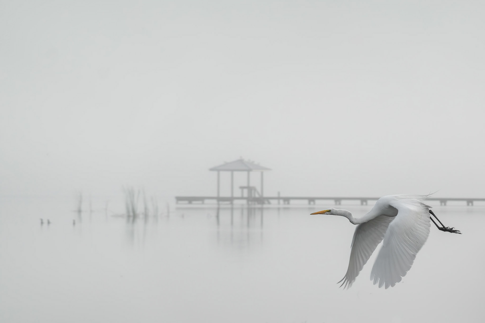 Lake Placid FL