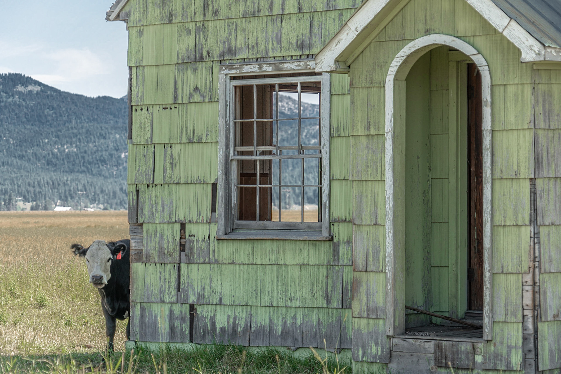 McCall ID