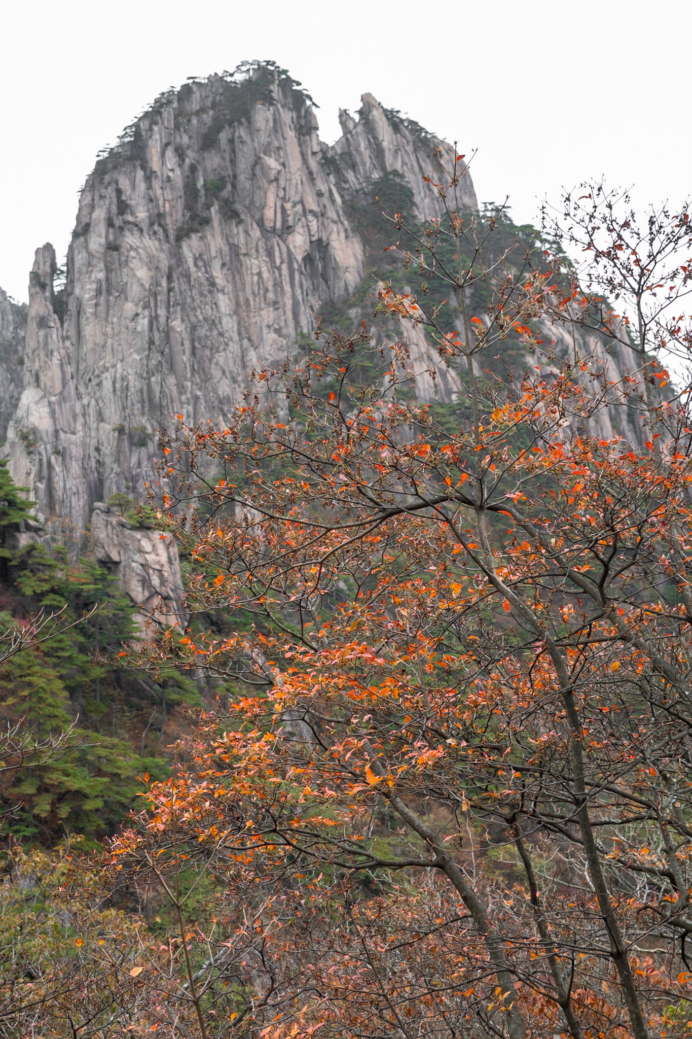 Yellow Mountains