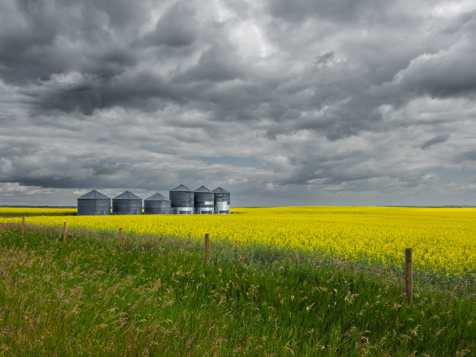 Longview, Alberta