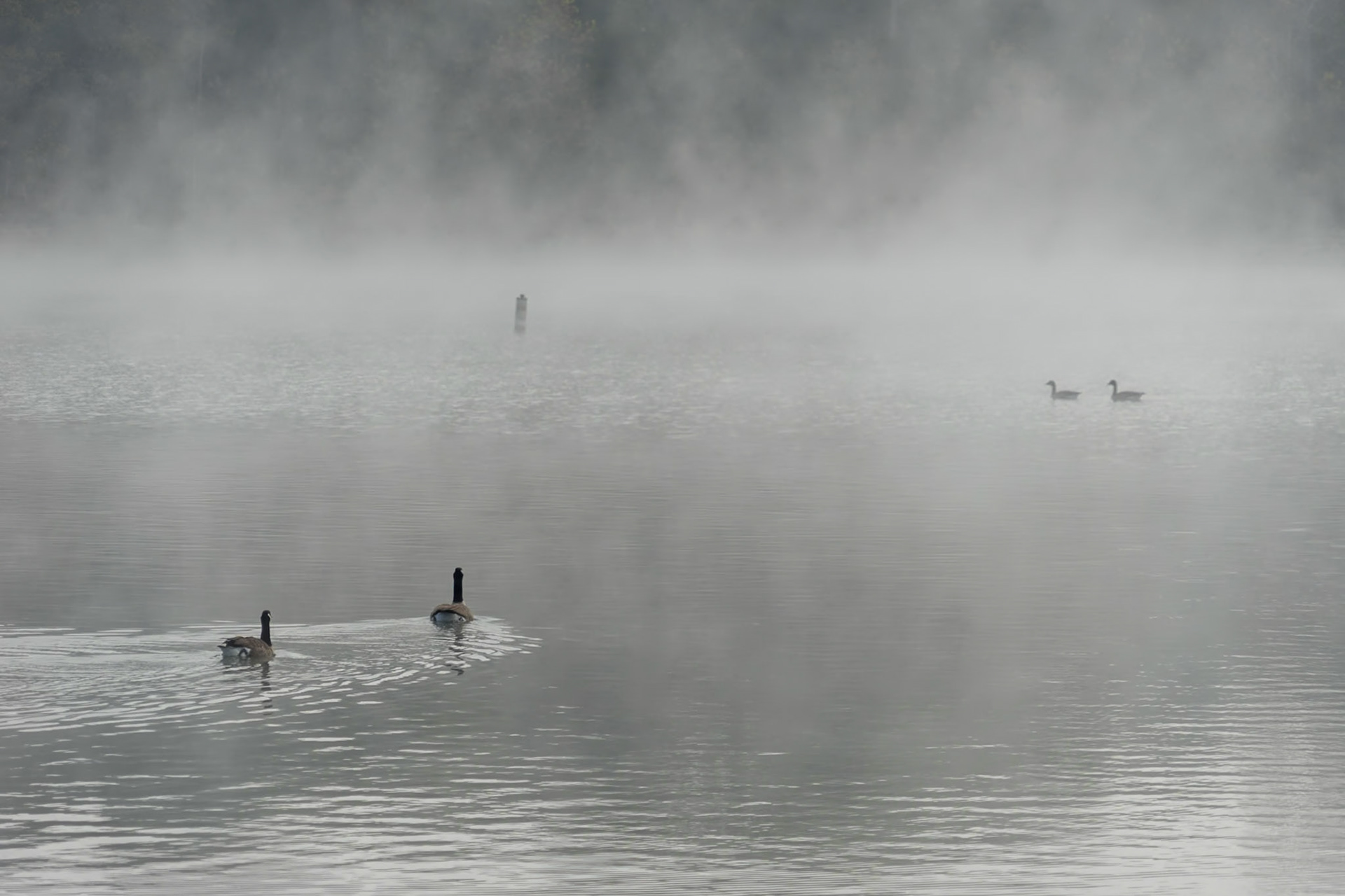 Chain-O-Lakes AR