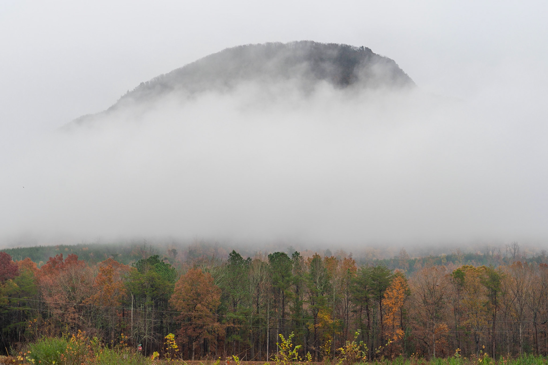 Chatsworth GA