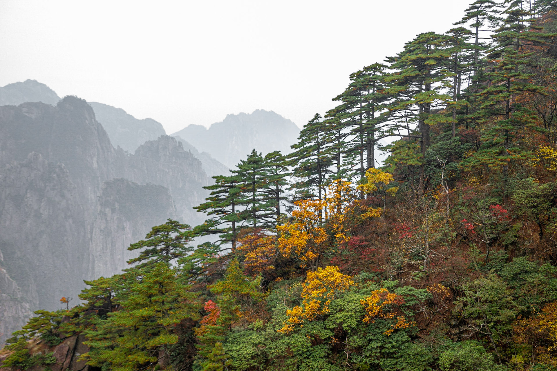 Yellow Mountains