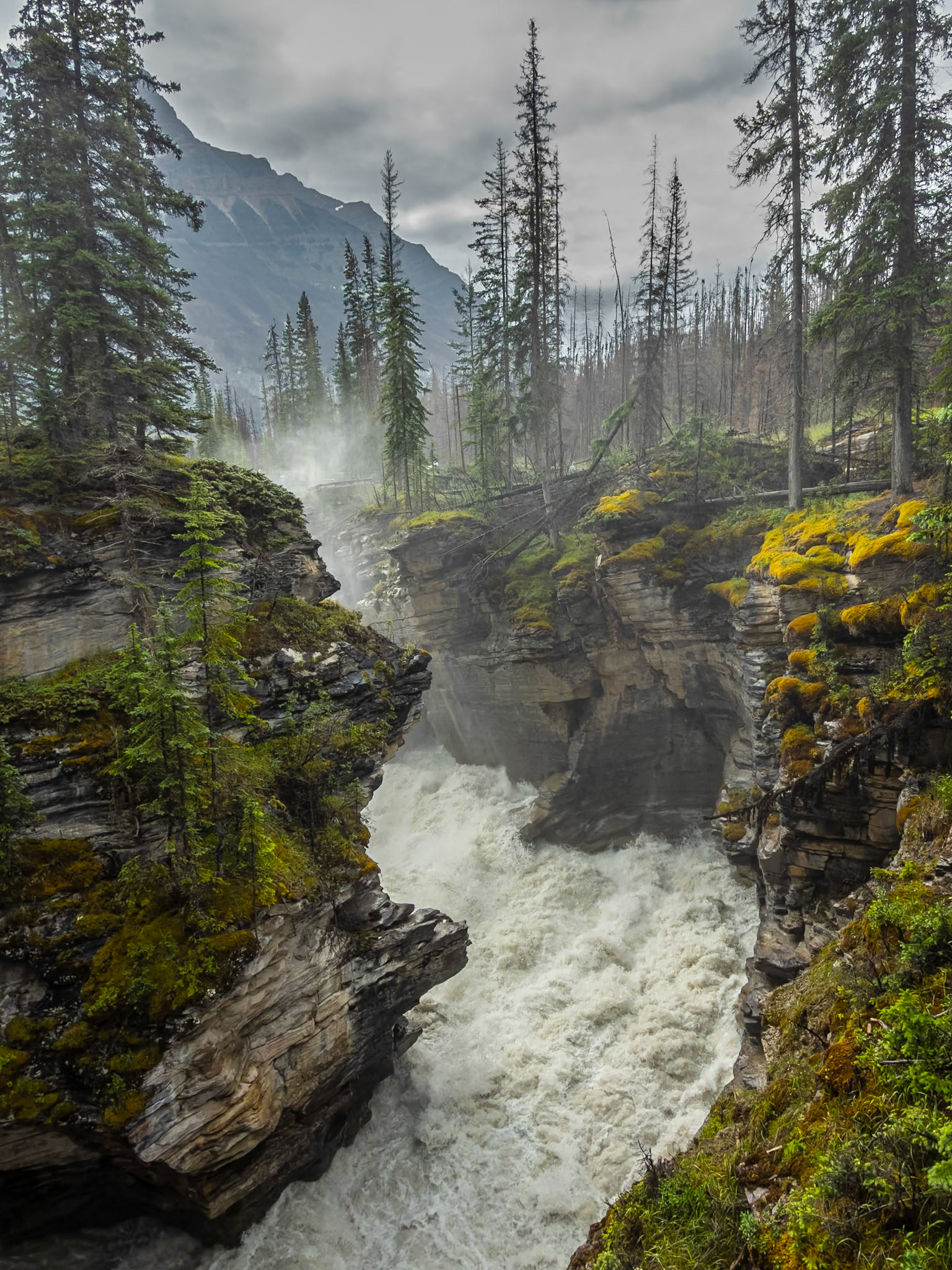 Athabasca Falls
