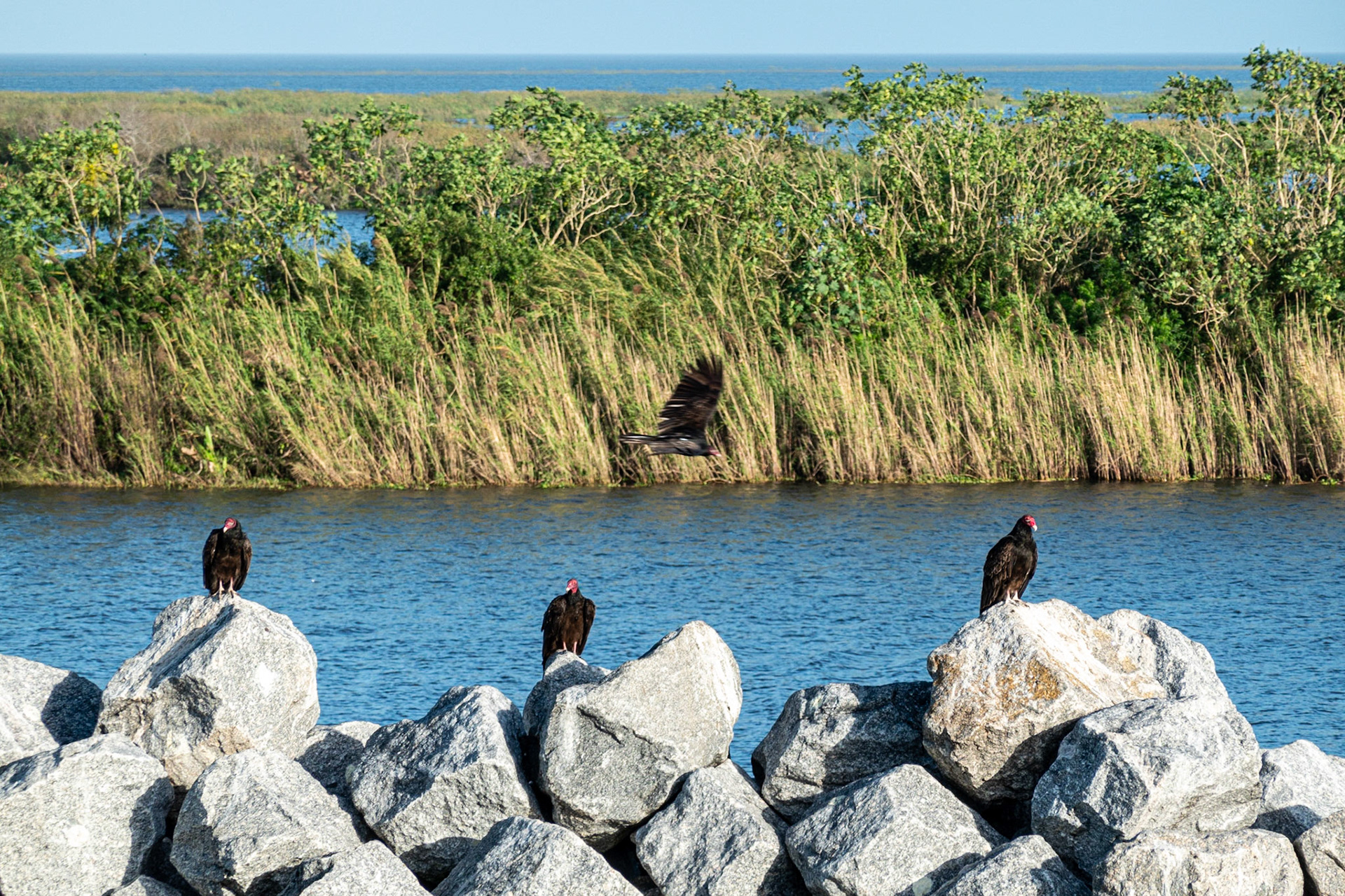 Lake Harbor FL