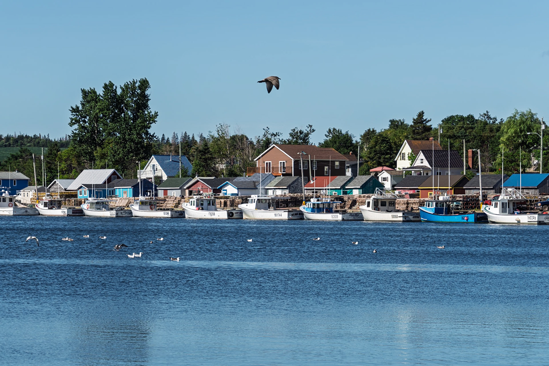 Rustico, PEI