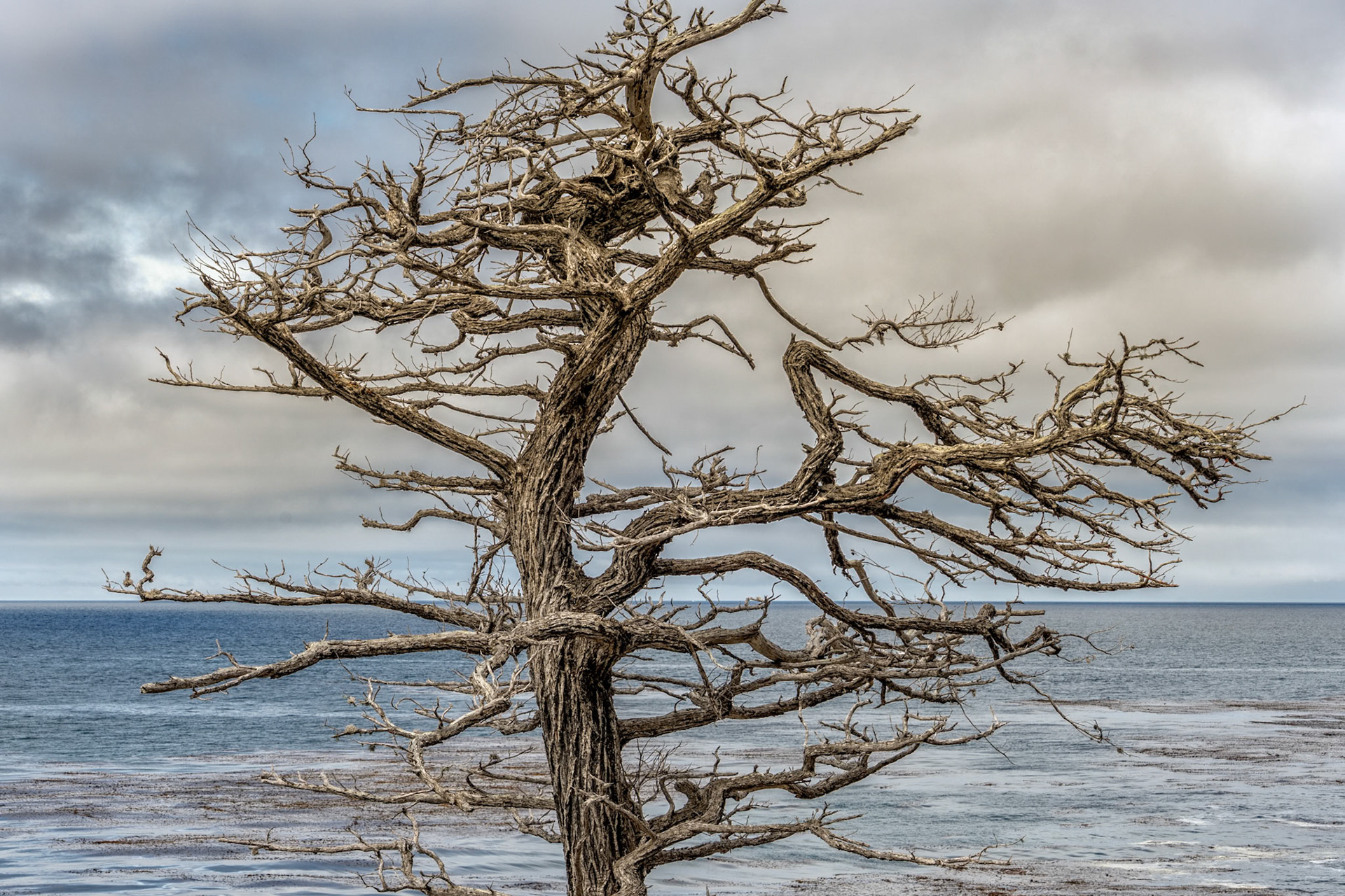 Pebble Beach