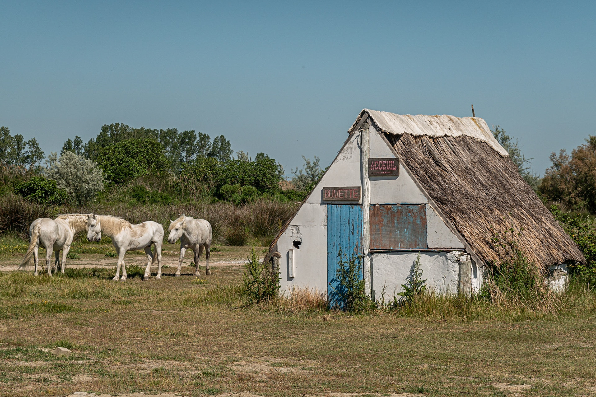 Saintes-Maries-de-la-Mer France