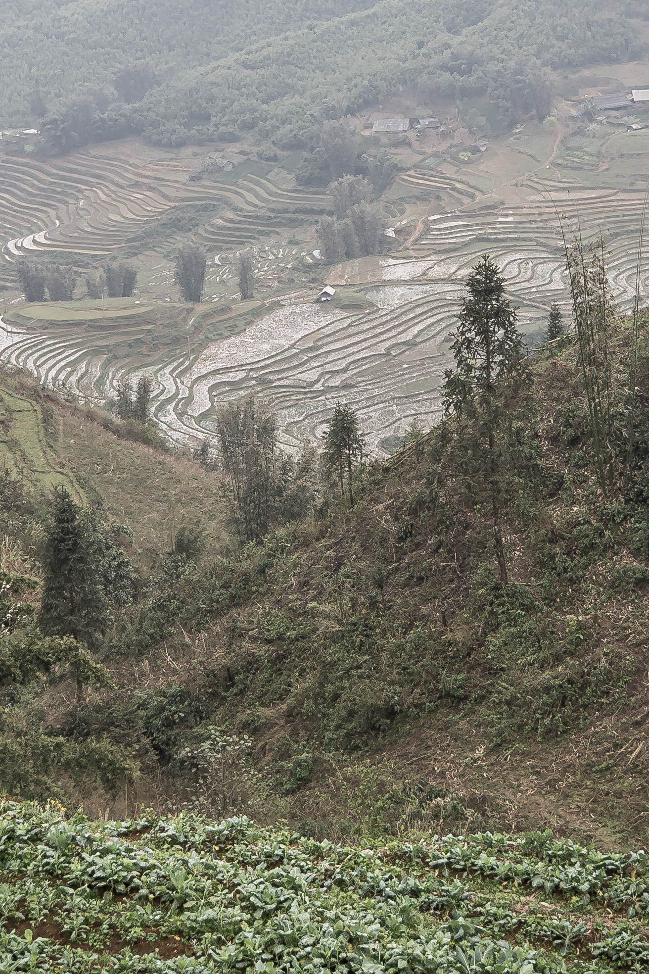 Sapa Vietnam