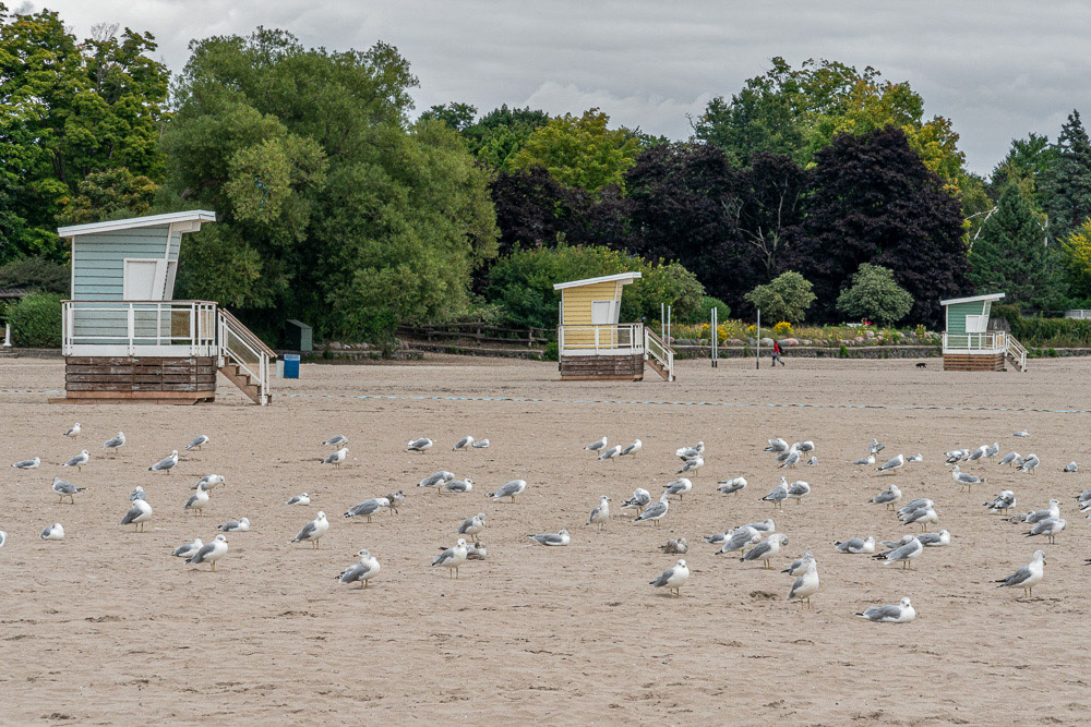 Cobourg, Ontario