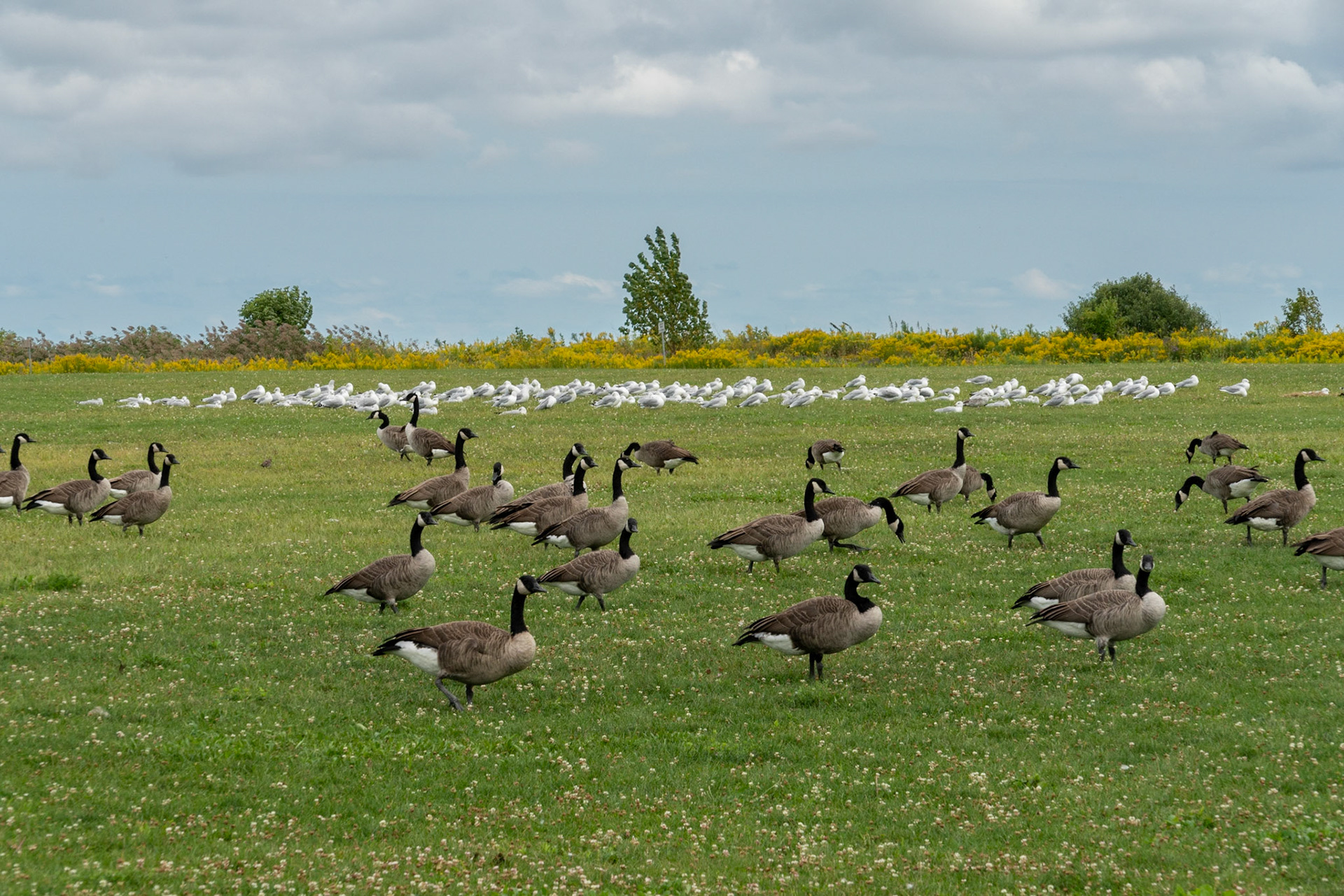Port Stanley, Ontario