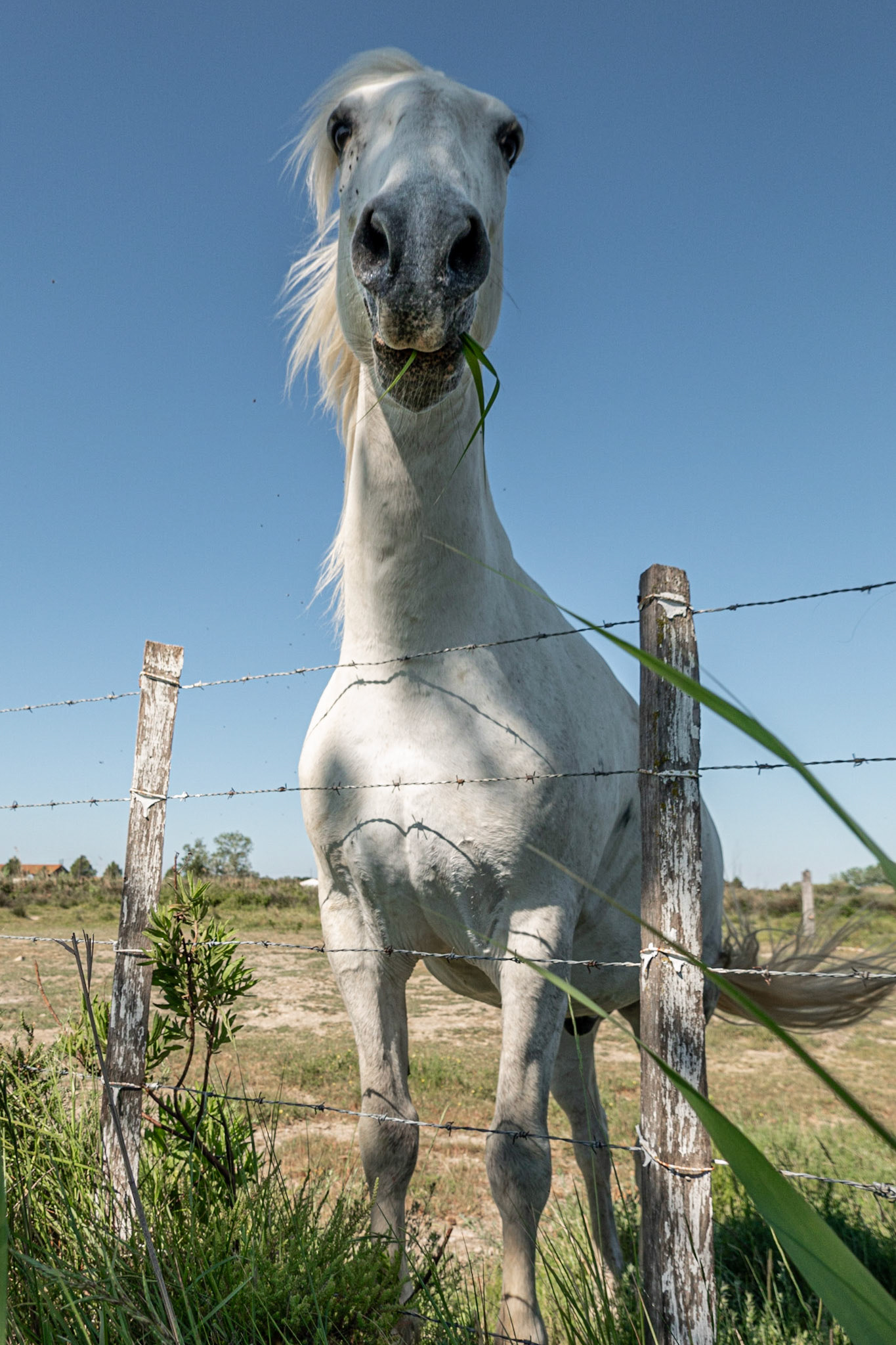 Saintes-Maries-de-la-Mer France