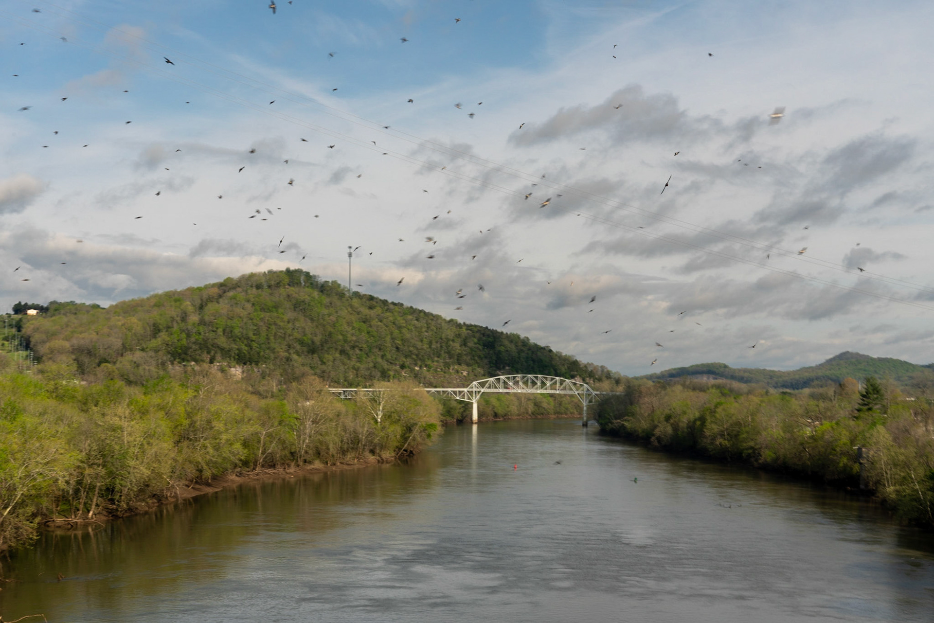 Carthage TN