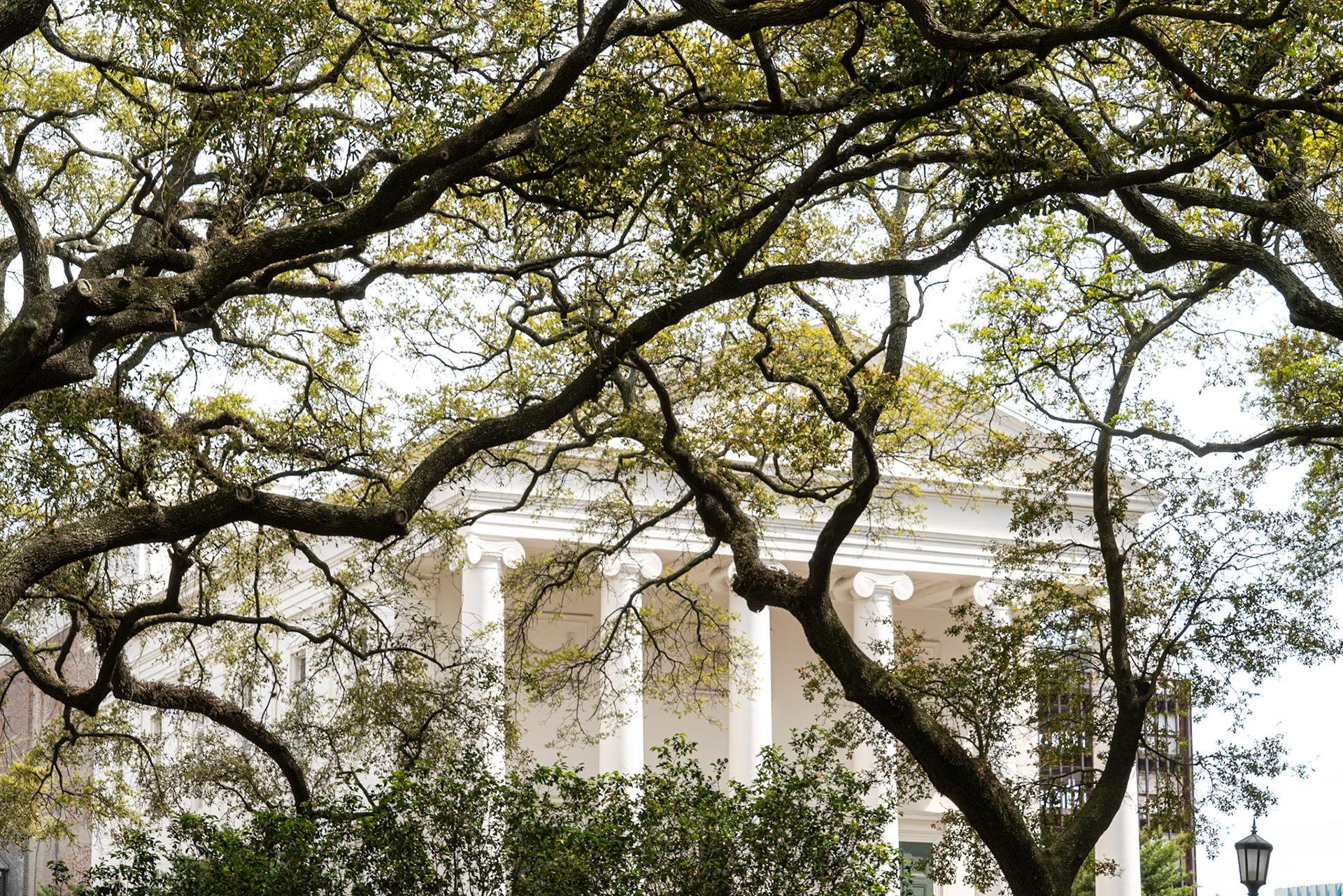 Savannah GA