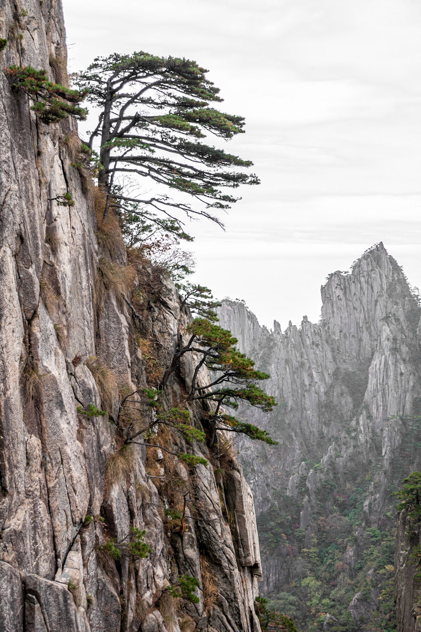 Yellow Mountains