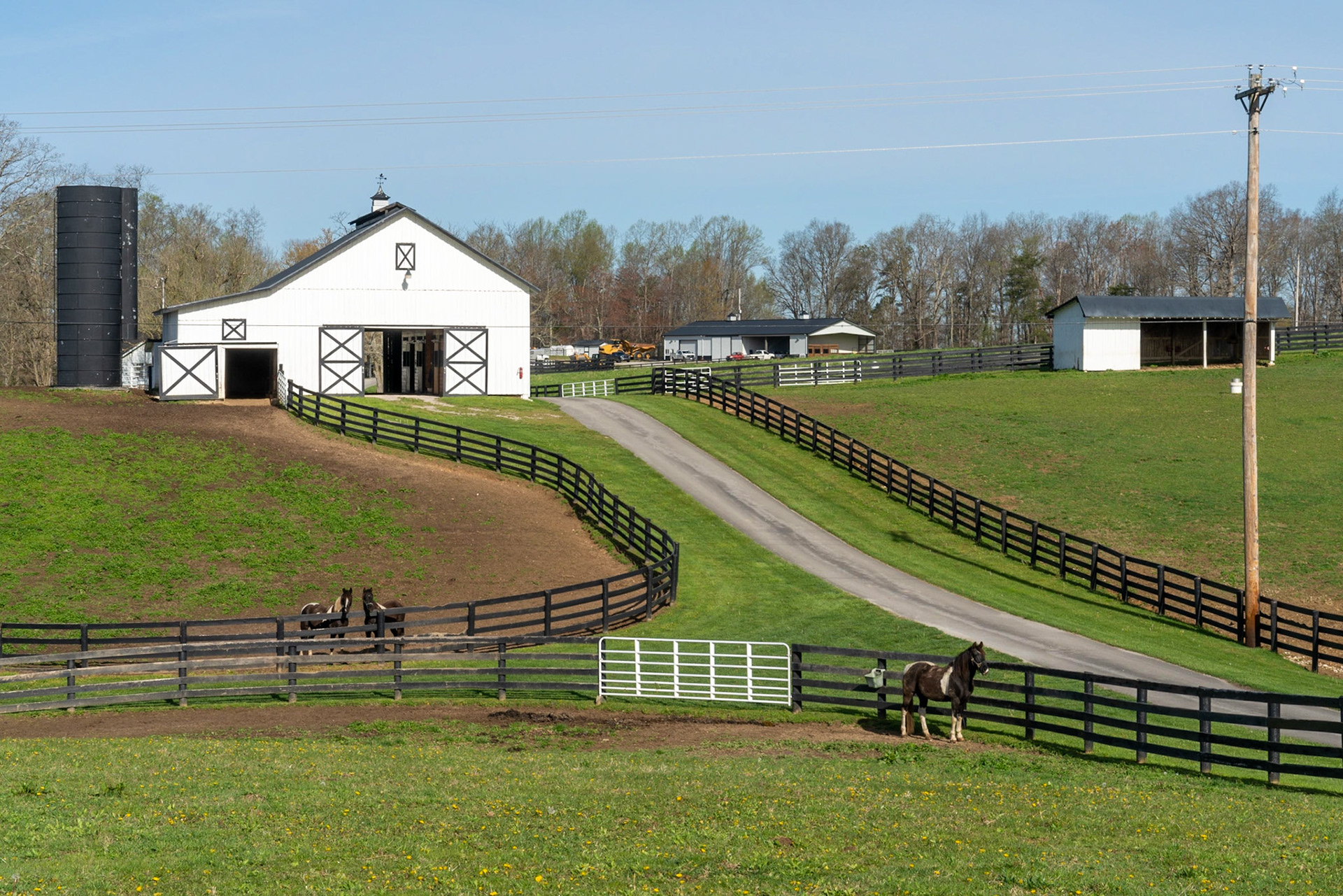 Sardis KY