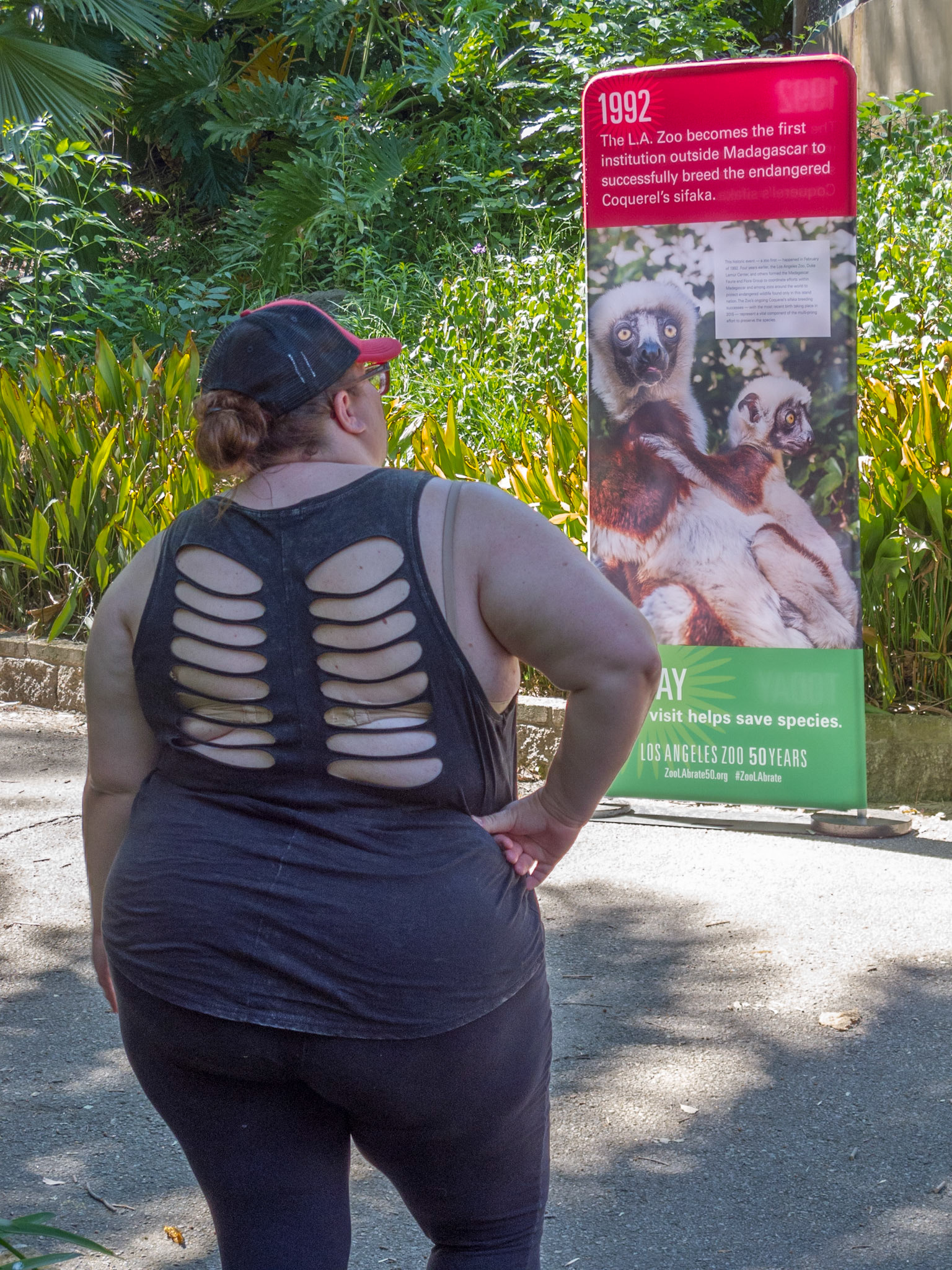 LA Zoo