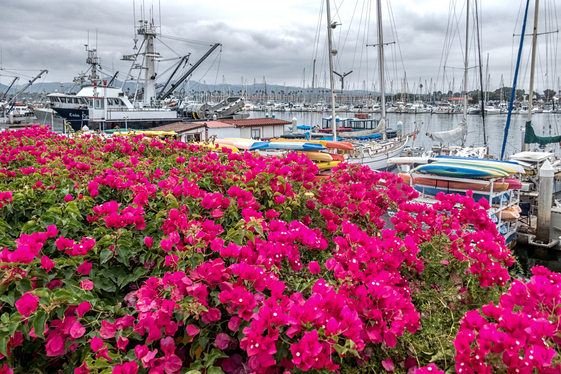 Ventura Harbor CA