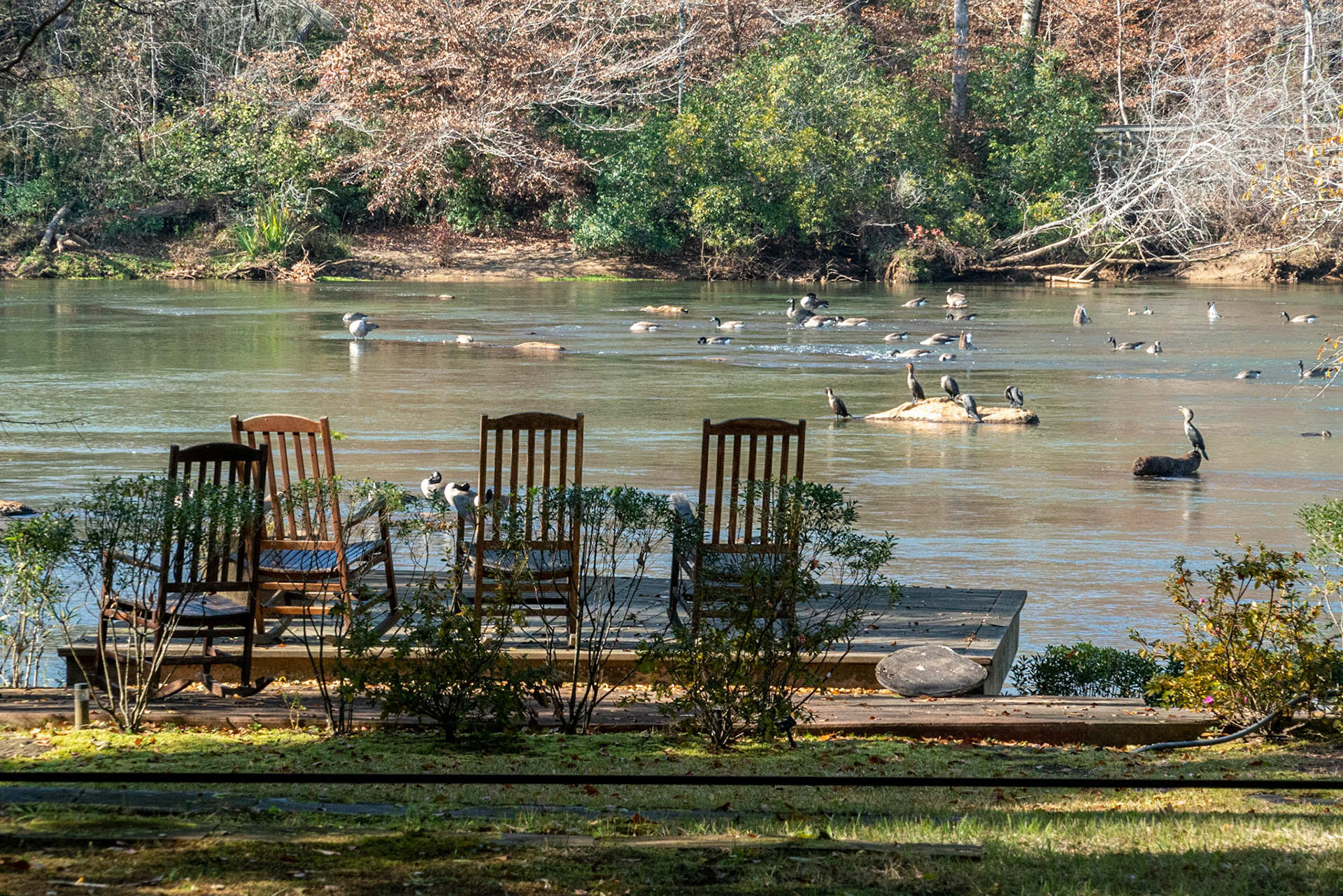 Chattahoochee Nat'l Rec Area GA